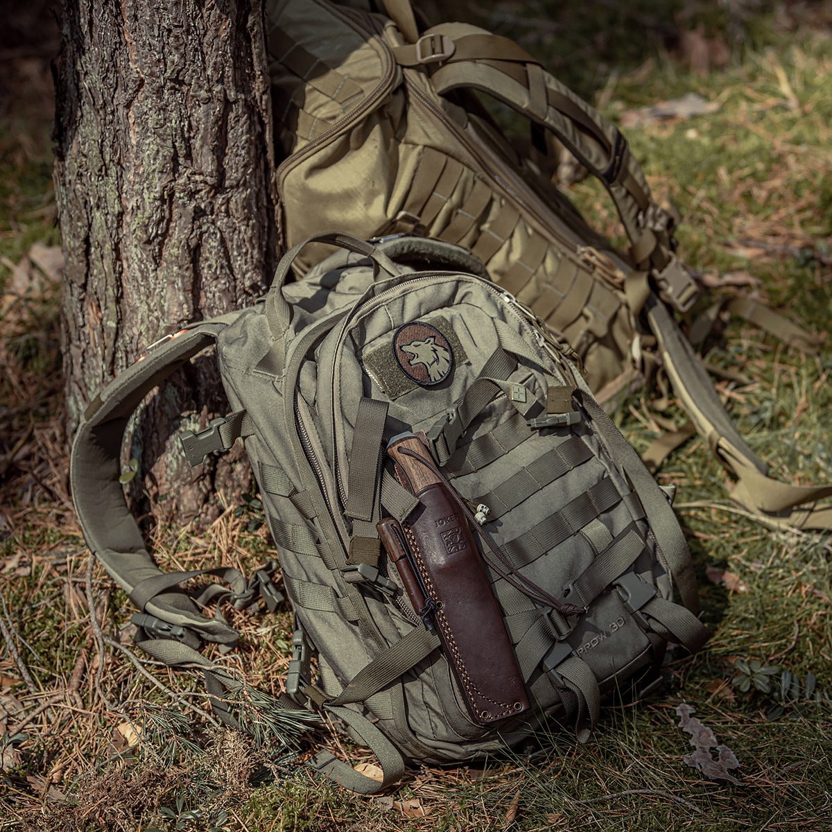 Plecak Wisport Sparrow II 30 l - Olive Green