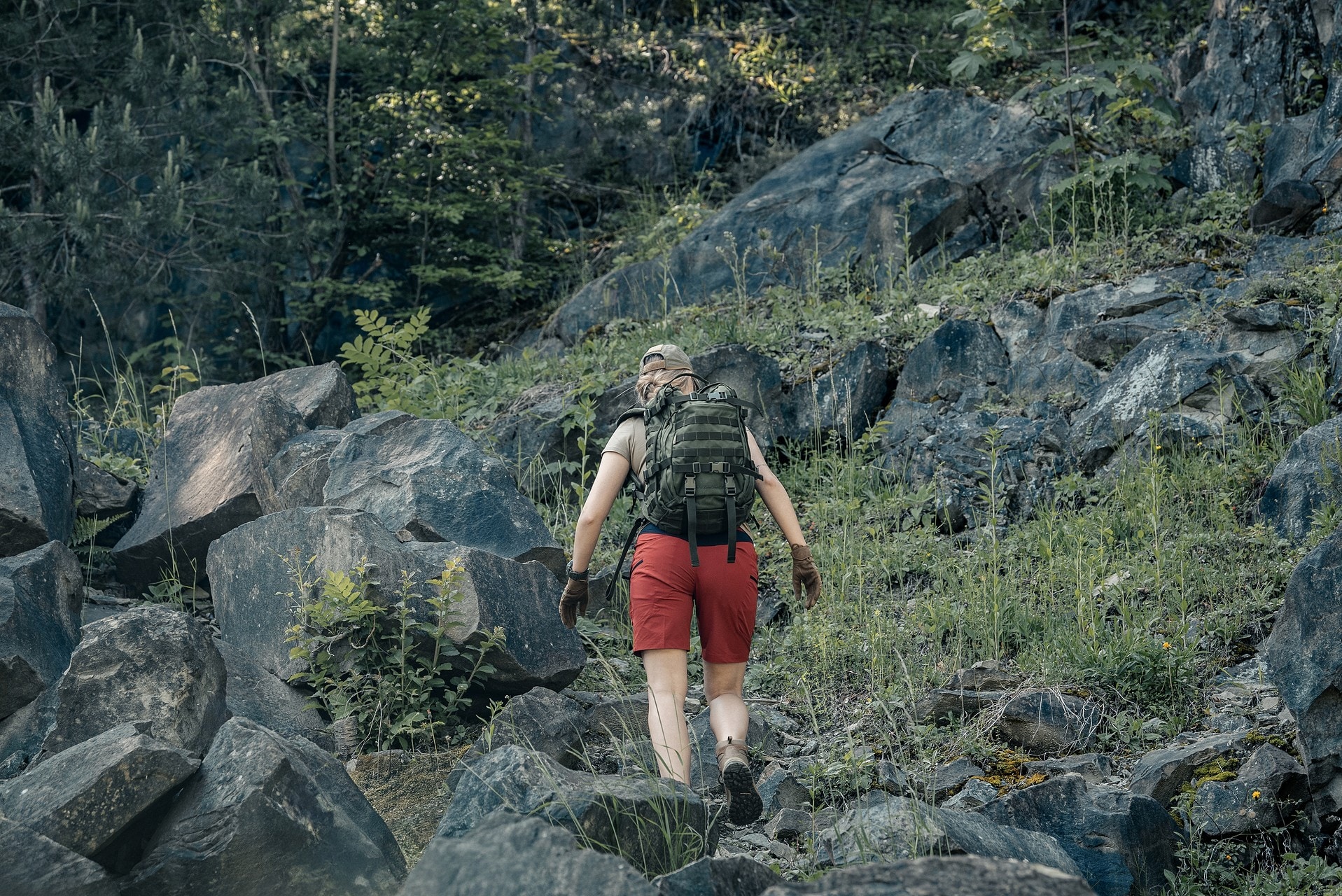 Plecak Wisport Sparrow II 30 l - Olive Green