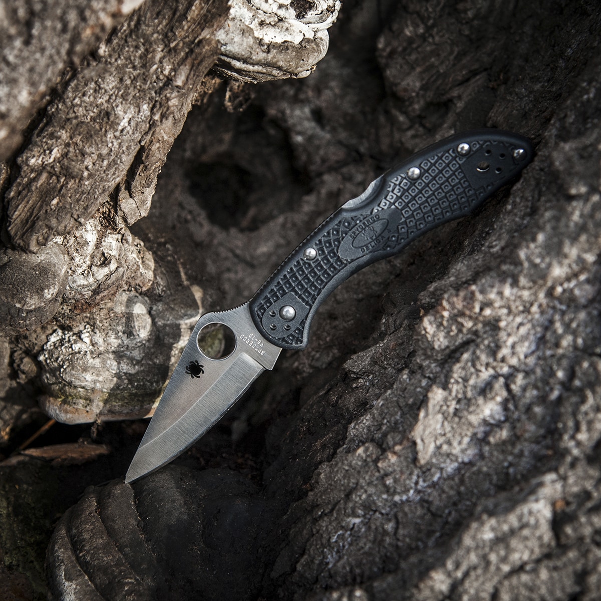 Nóż składany Spyderco Delica 4 Plain VG-10