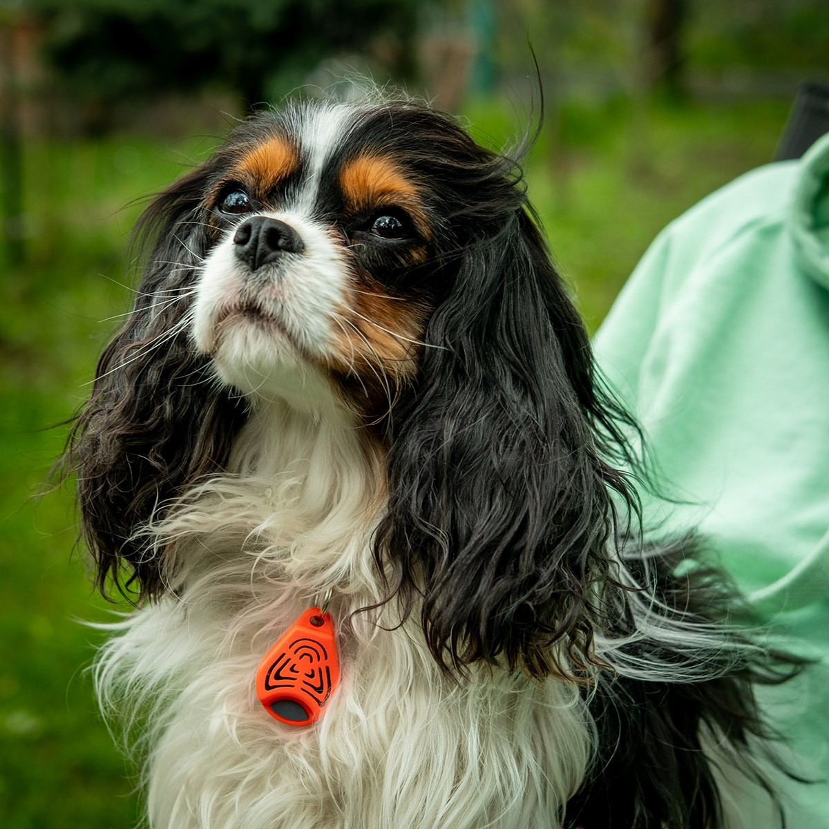 Ultradźwiękowa ochrona przed kleszczami TickLess Pet - dla zwierząt - Orange