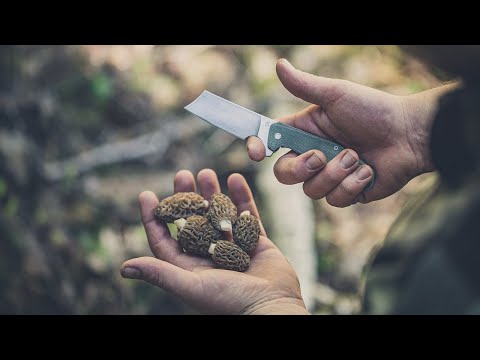 Nóż składany Gerber Asada - Onyx