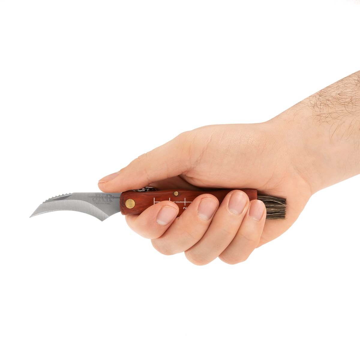 Nóż składany Joker do zbierania grzybów - 55 mm