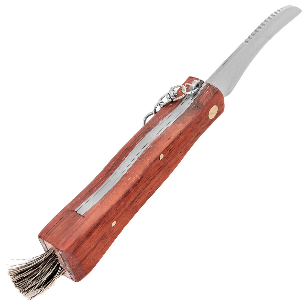 Nóż składany Joker do zbierania grzybów - 60 mm