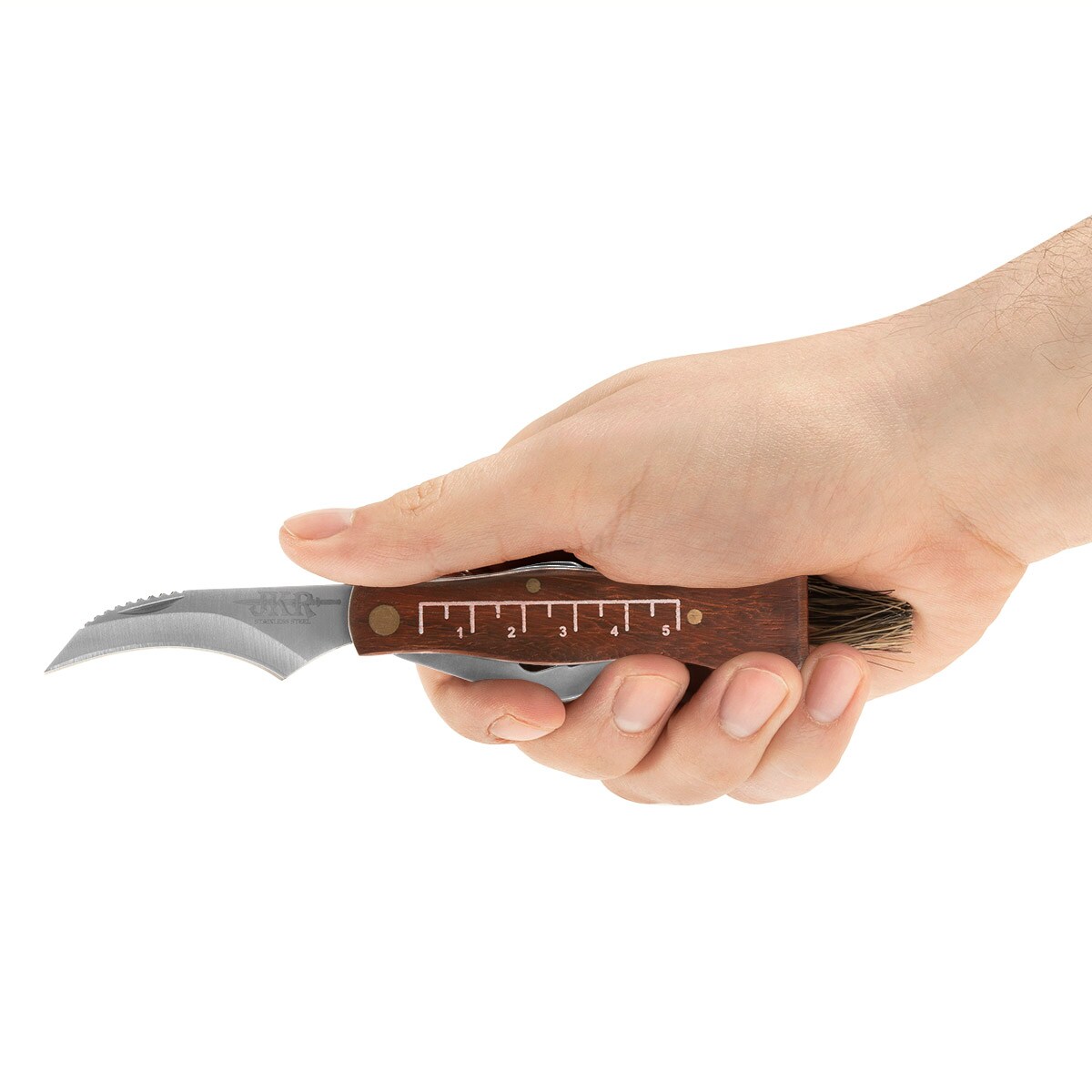 Nóż składany Joker do zbierania grzybów