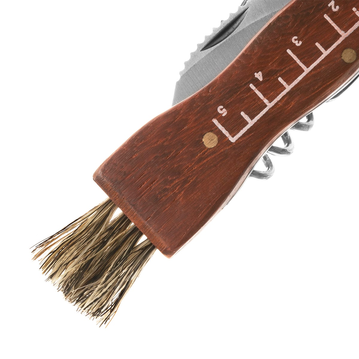 Nóż składany Joker do zbierania grzybów