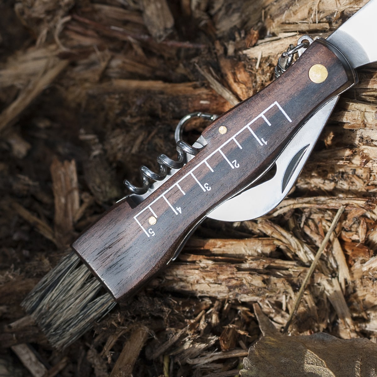 Nóż składany Joker do zbierania grzybów