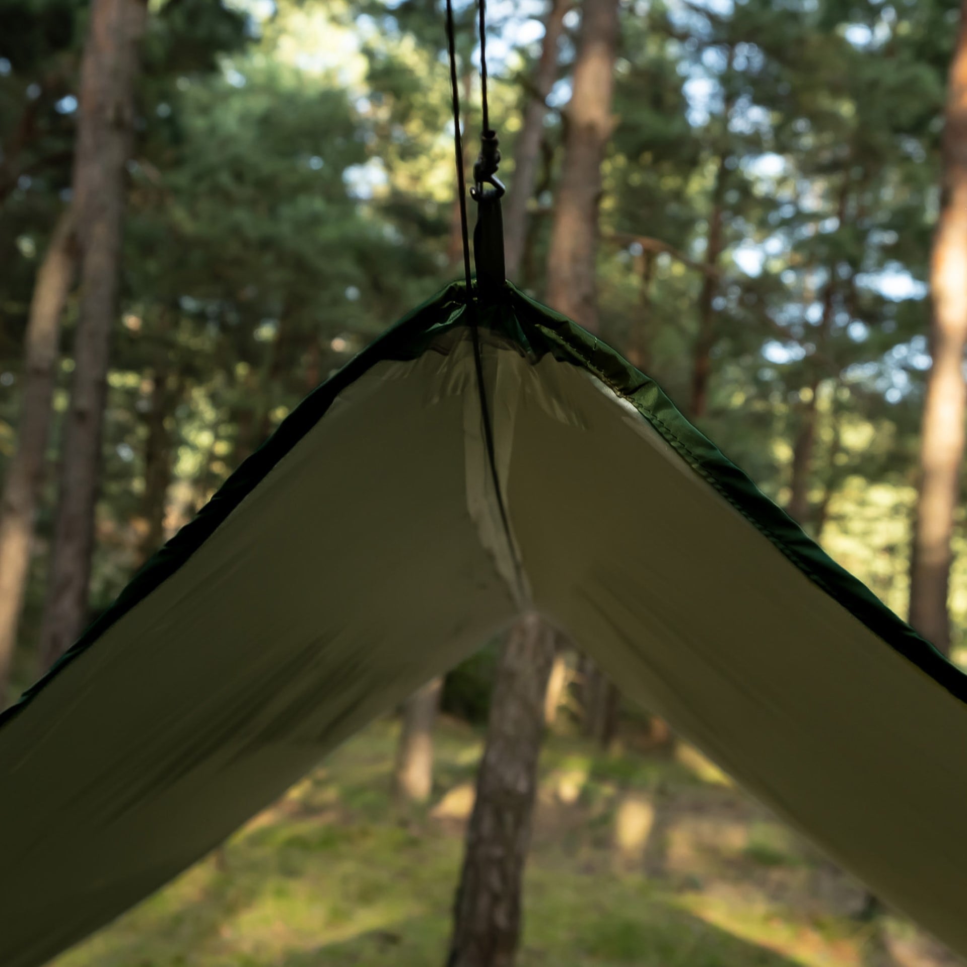 Брезент туристичний TigerWood Termo Tarp StingRay 3,6 x 2,8 м - Green