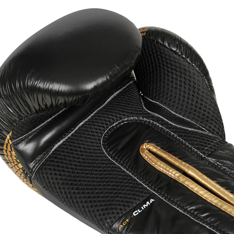 Боксерські рукавиці DBX Bushido B-2V13 10 oz - Чорно-золотисті