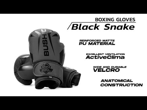 Боксерські рукавиці DBX Bushido Raptor B-2V22 - Матовий чорний