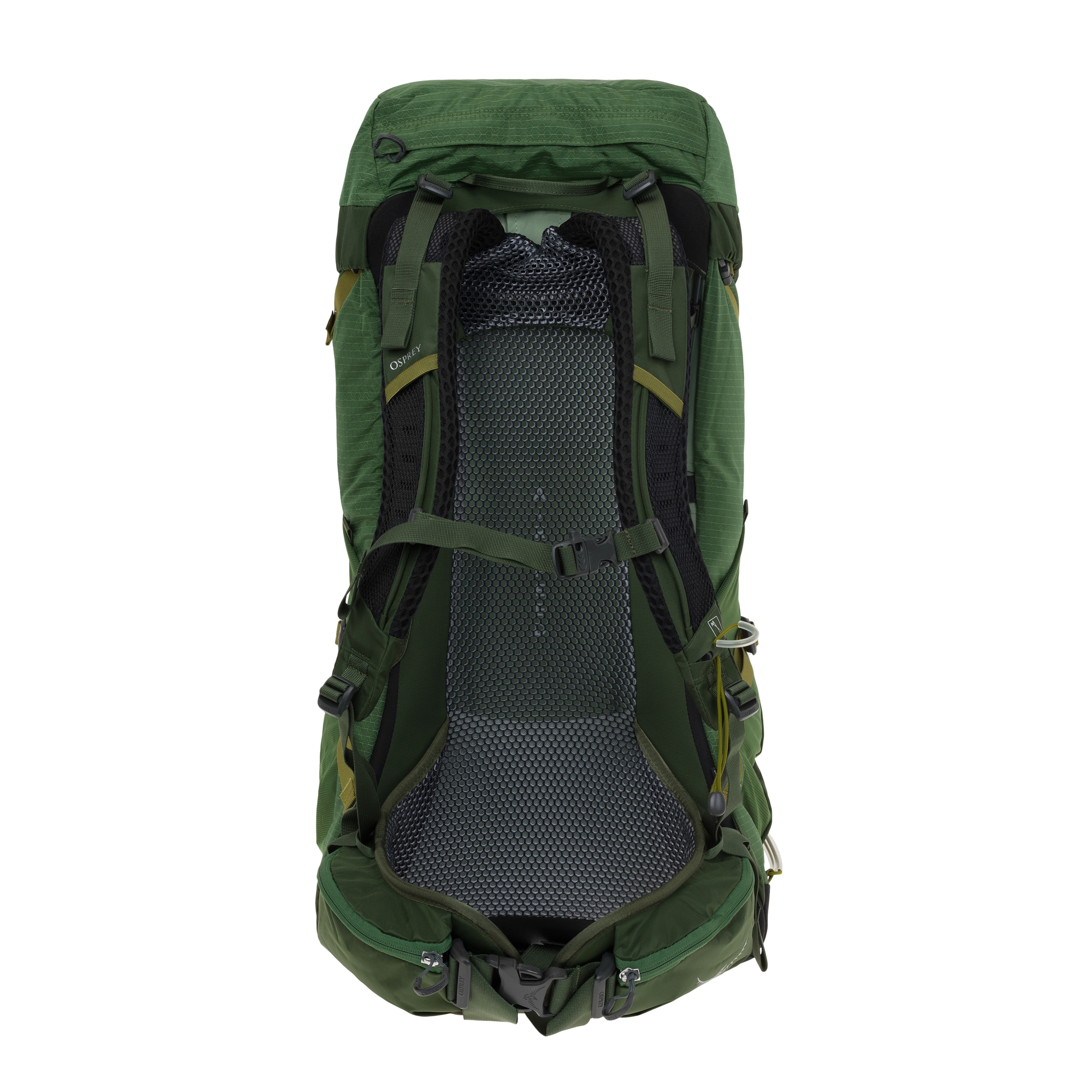 Рюкзак Osprey Stratos 36 л - Seaweed Matcha Green