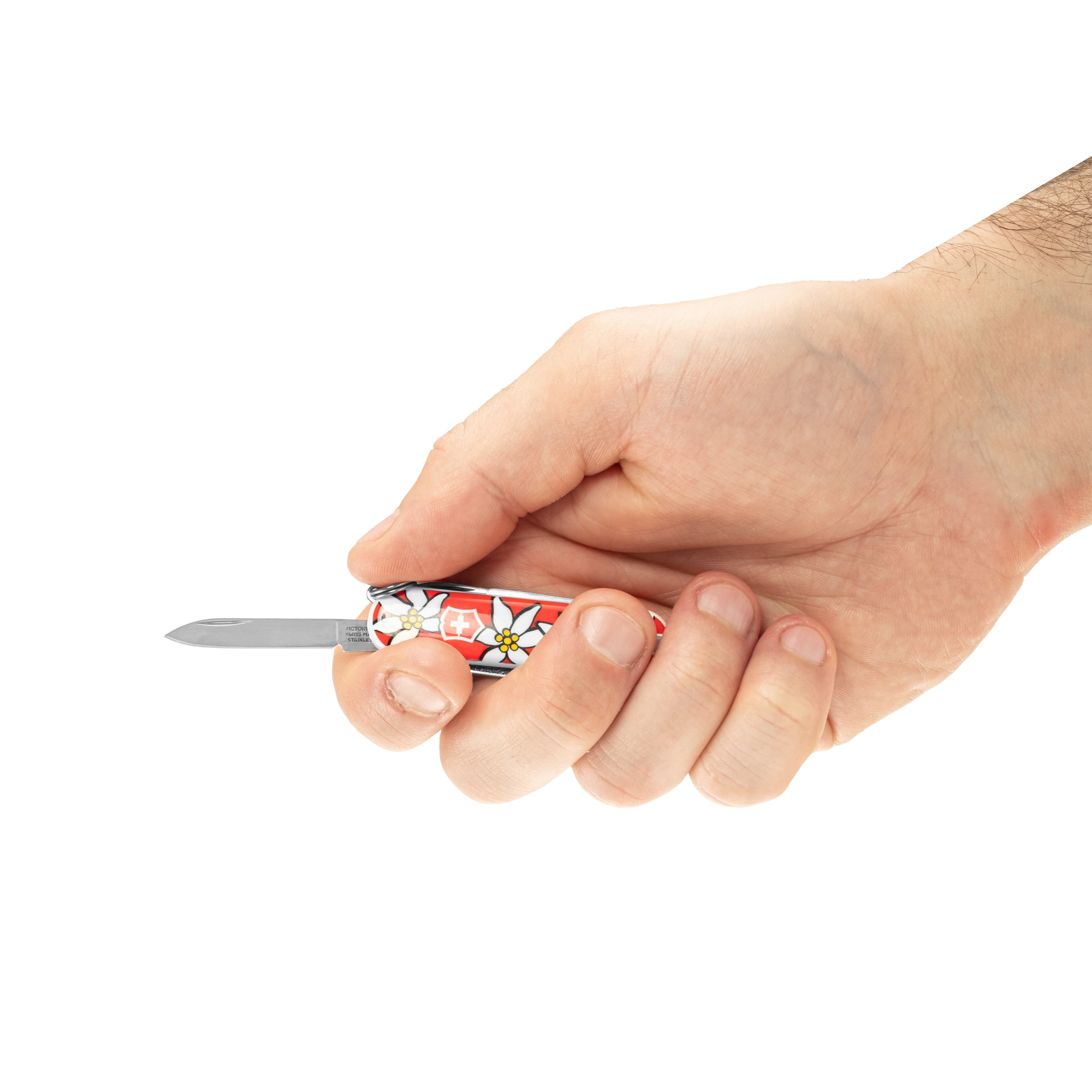 Scyzoryk Victorinox Classic SD - Edelweiss