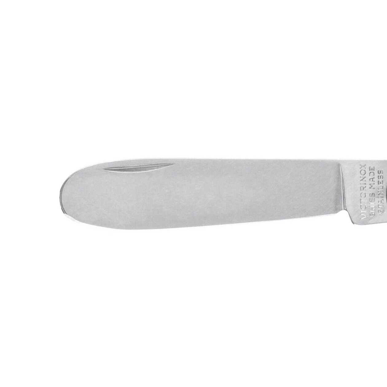 Scyzoryk Victorinox My First Parrot