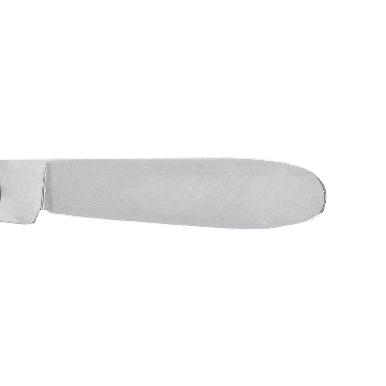 Scyzoryk Victorinox My First Parrot