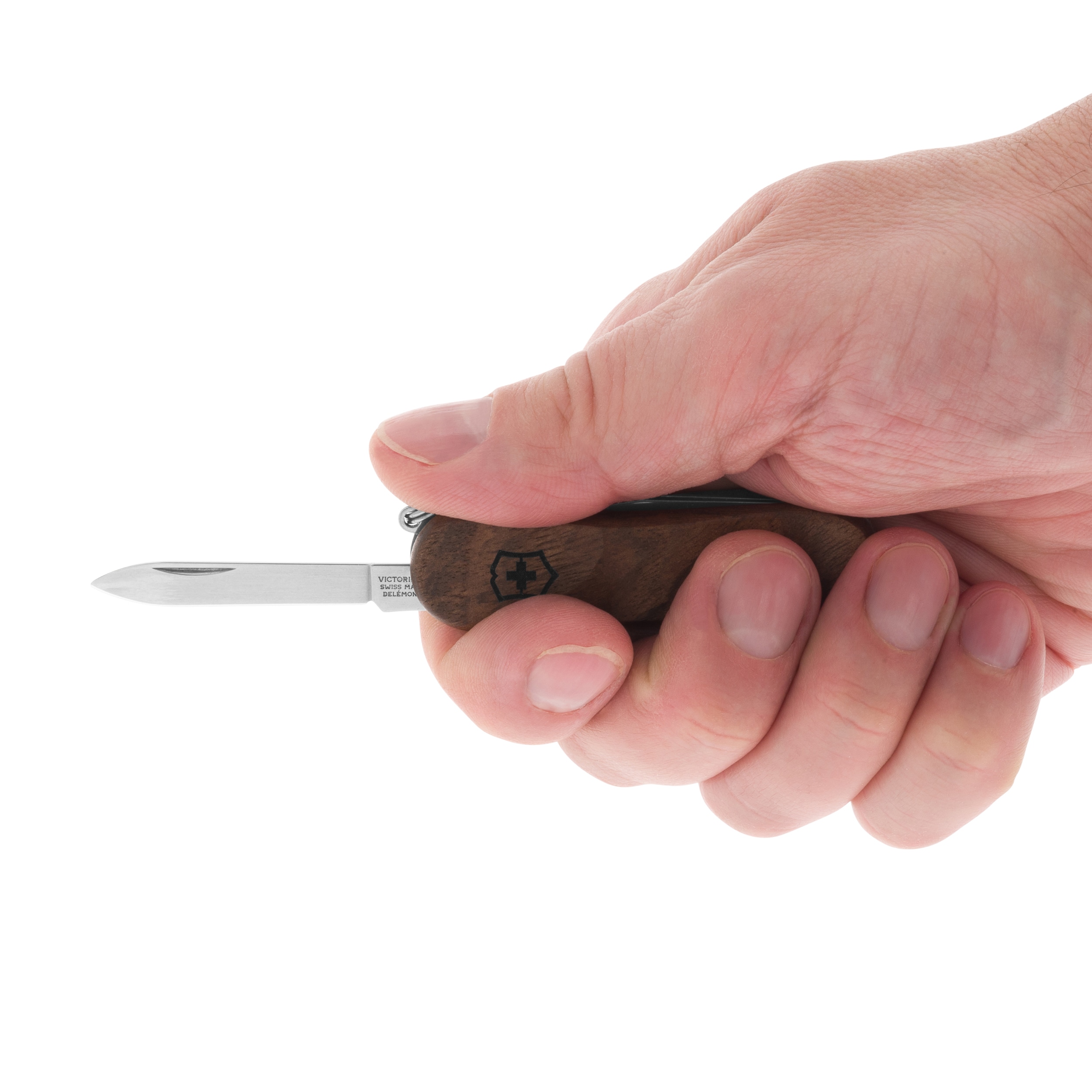 Scyzoryk Victorinox Evowood 81