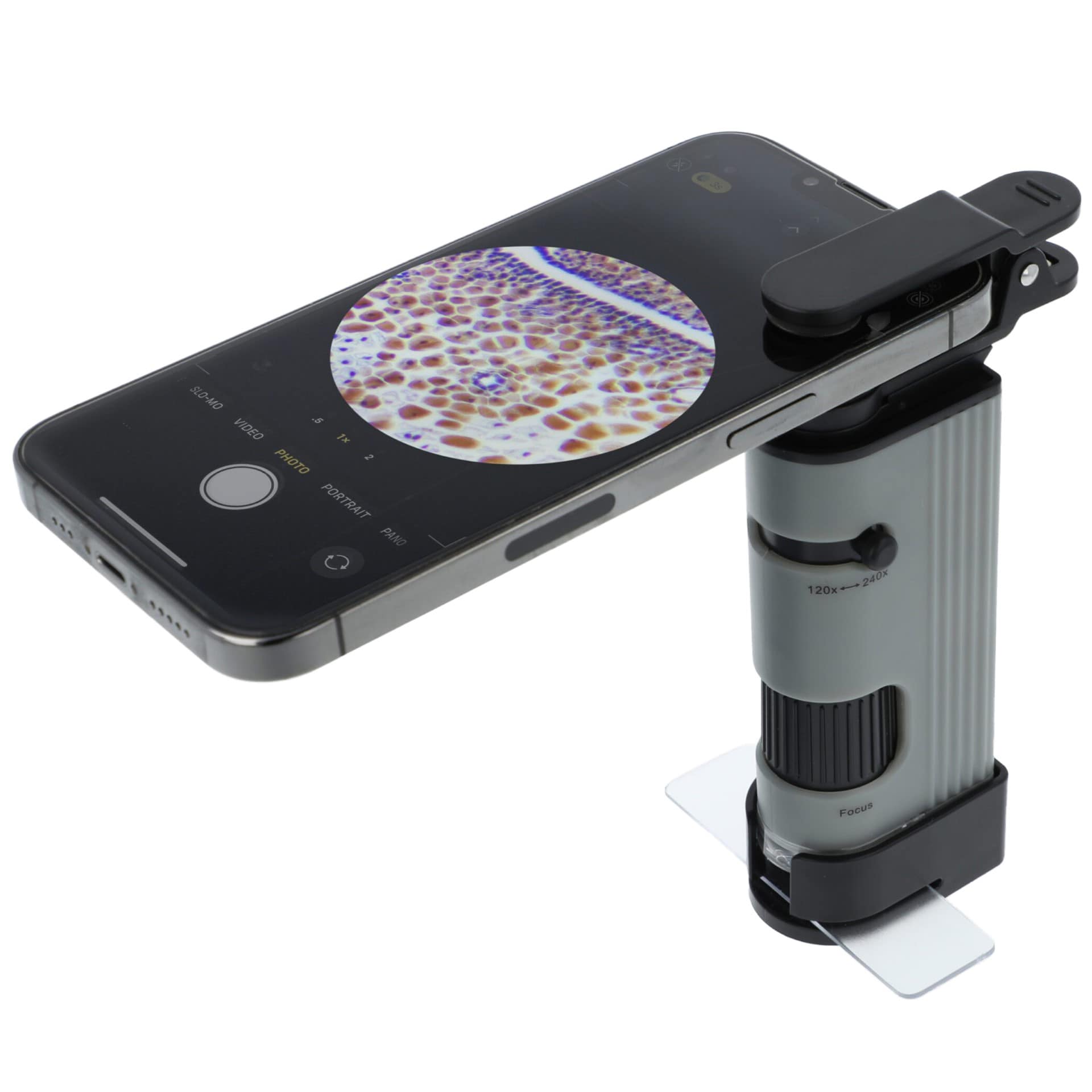 Mikroskop kieszonkowy Carson MicroPic High-Resolution 120-240x 