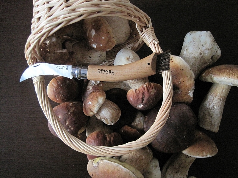 Nóż składany Opinel No.8 Mushroom do zbierania grzybów