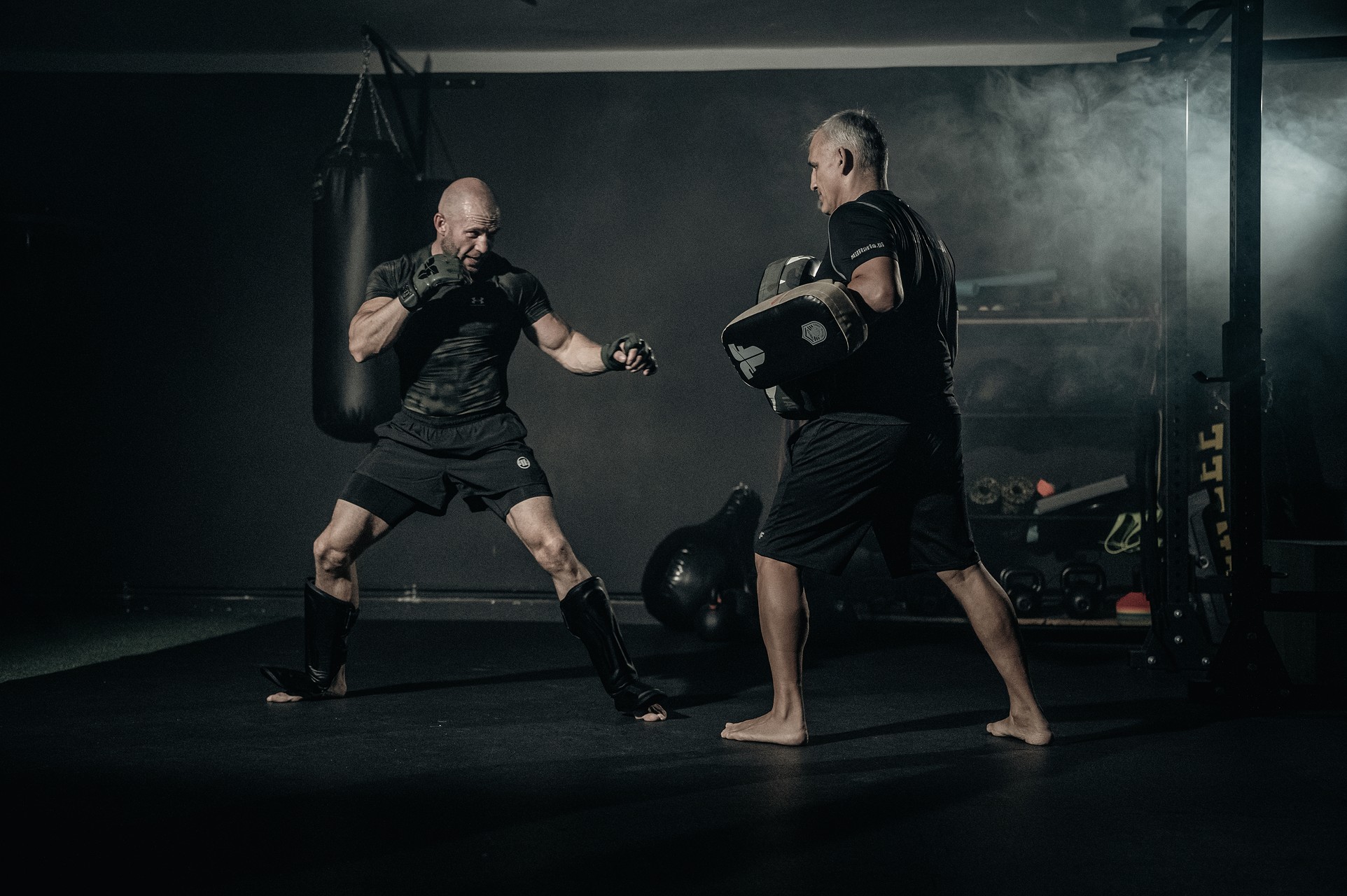 Шорти Pitbull Mesh New Logo - Black