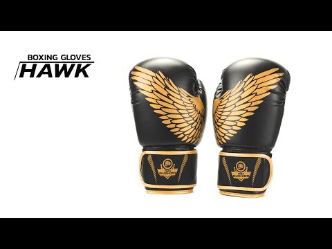 Rękawice bokserskie DBX Bushido Hawk B-2V17 - Czarne