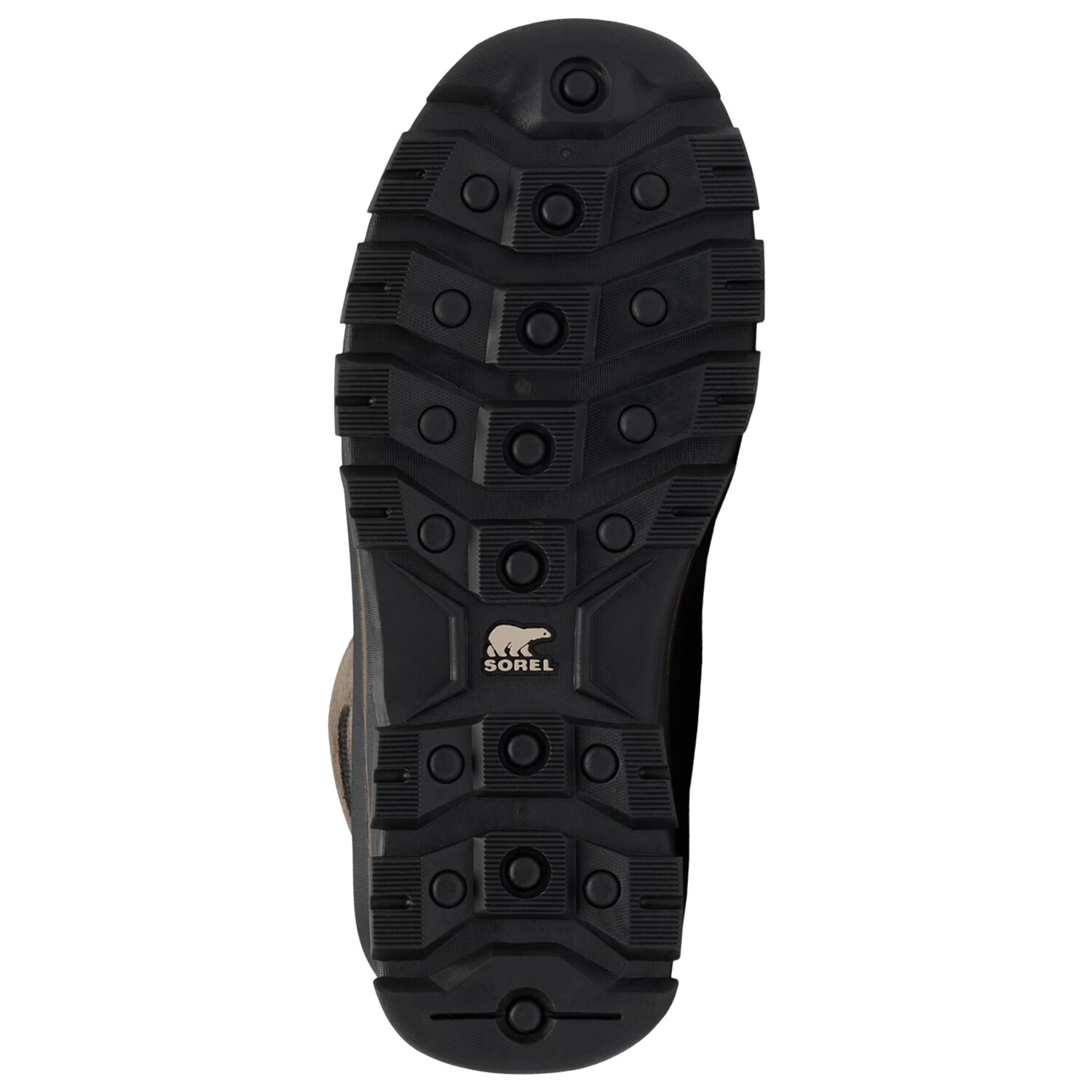 Buty Sorel Buxton Lace Boot WP - Major/Black