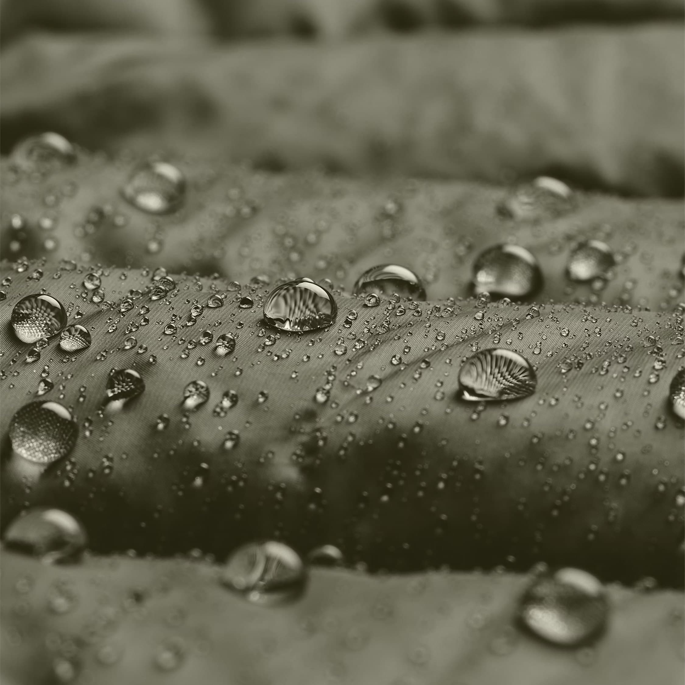 Kurtka Under Armour Legend Down Hooded - Marine OD Green/Black