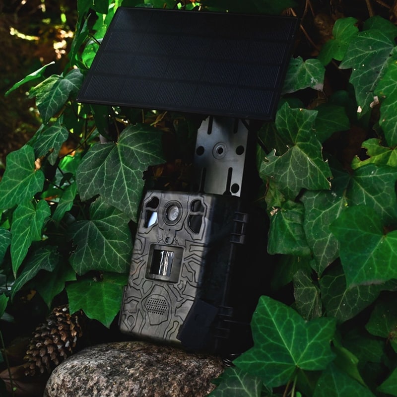 Fotopułapka TopHunt H6 - Dark Green