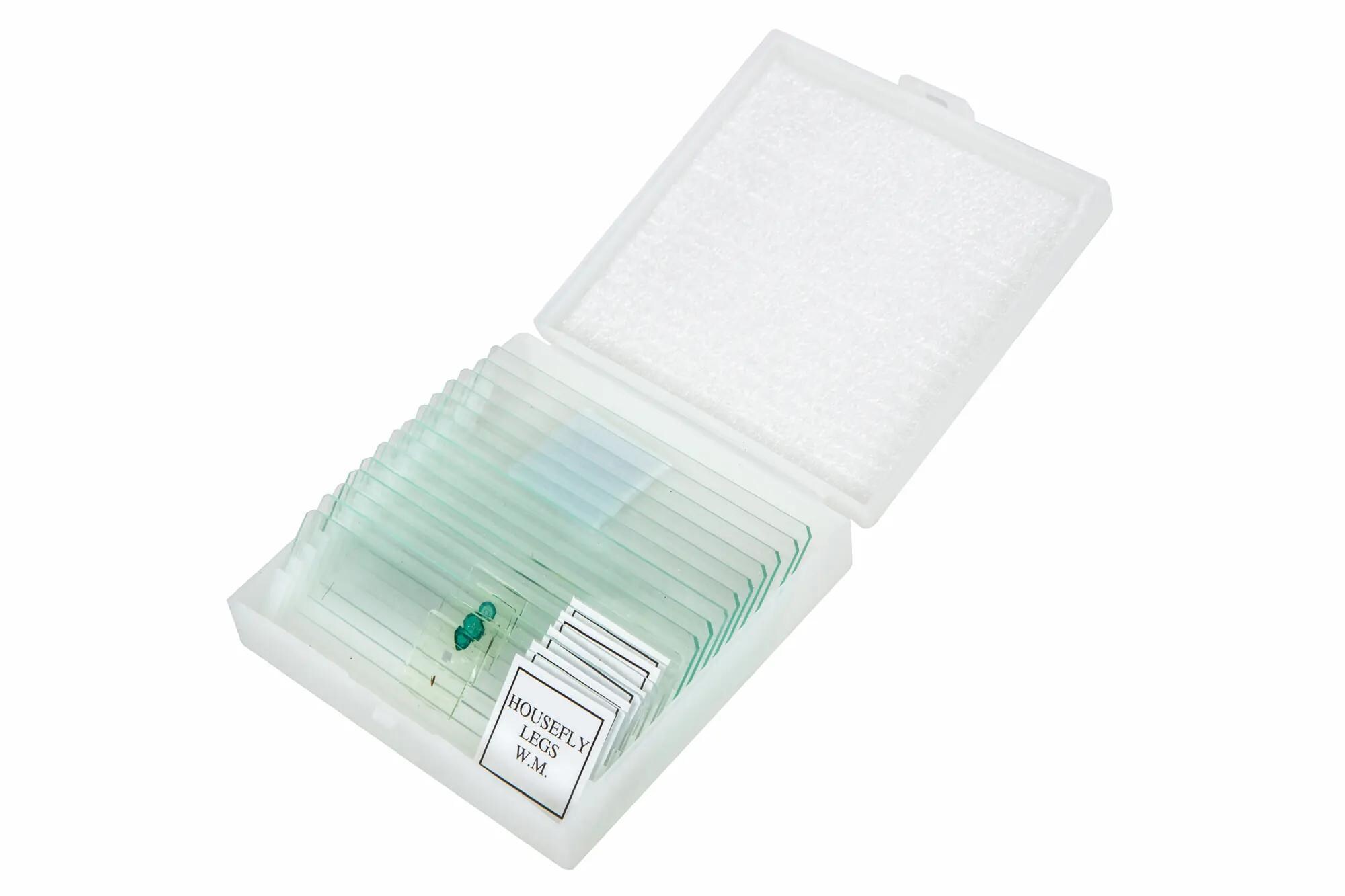 Mikroskop Opticon XSP-42LCD