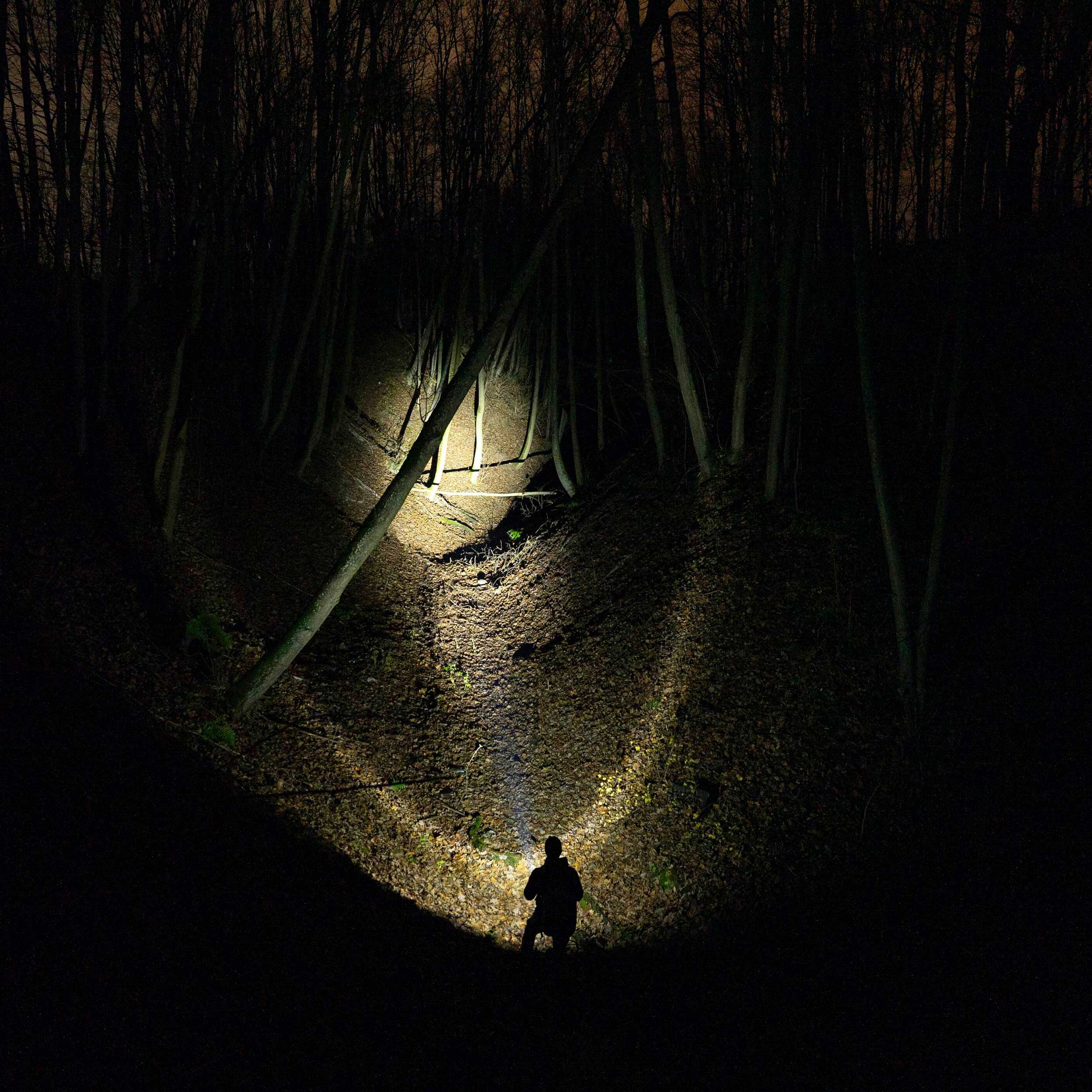 Latarka Armytek Bear WRG