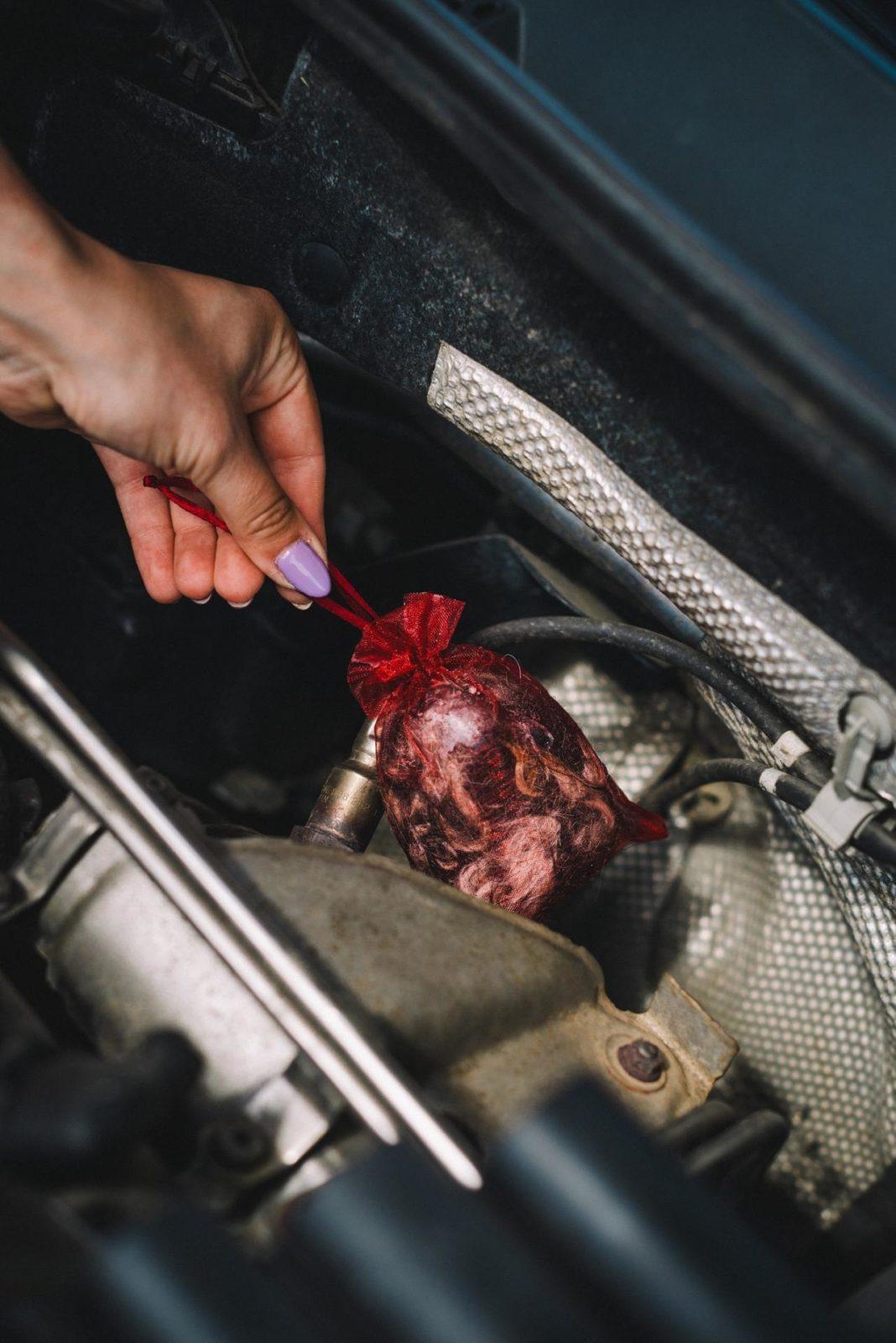 Odstraszacz Kunagone na kuny - 6 szt.