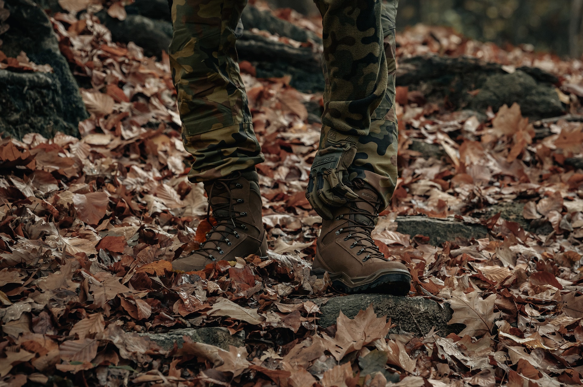 Buty Lowa Renegade II GTX HI TF - Dark Brown