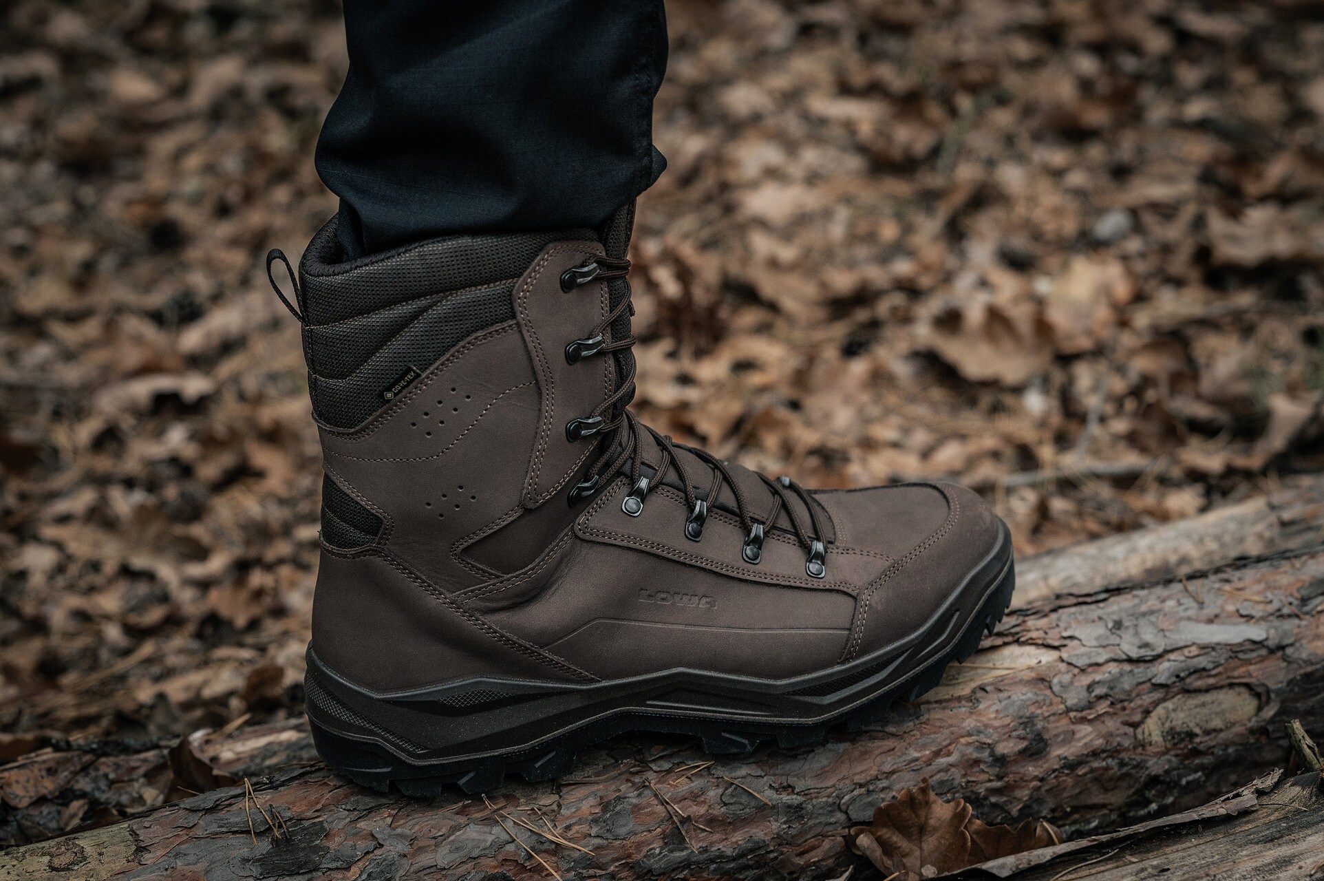 Buty Lowa Renegade II GTX HI TF - Dark Brown