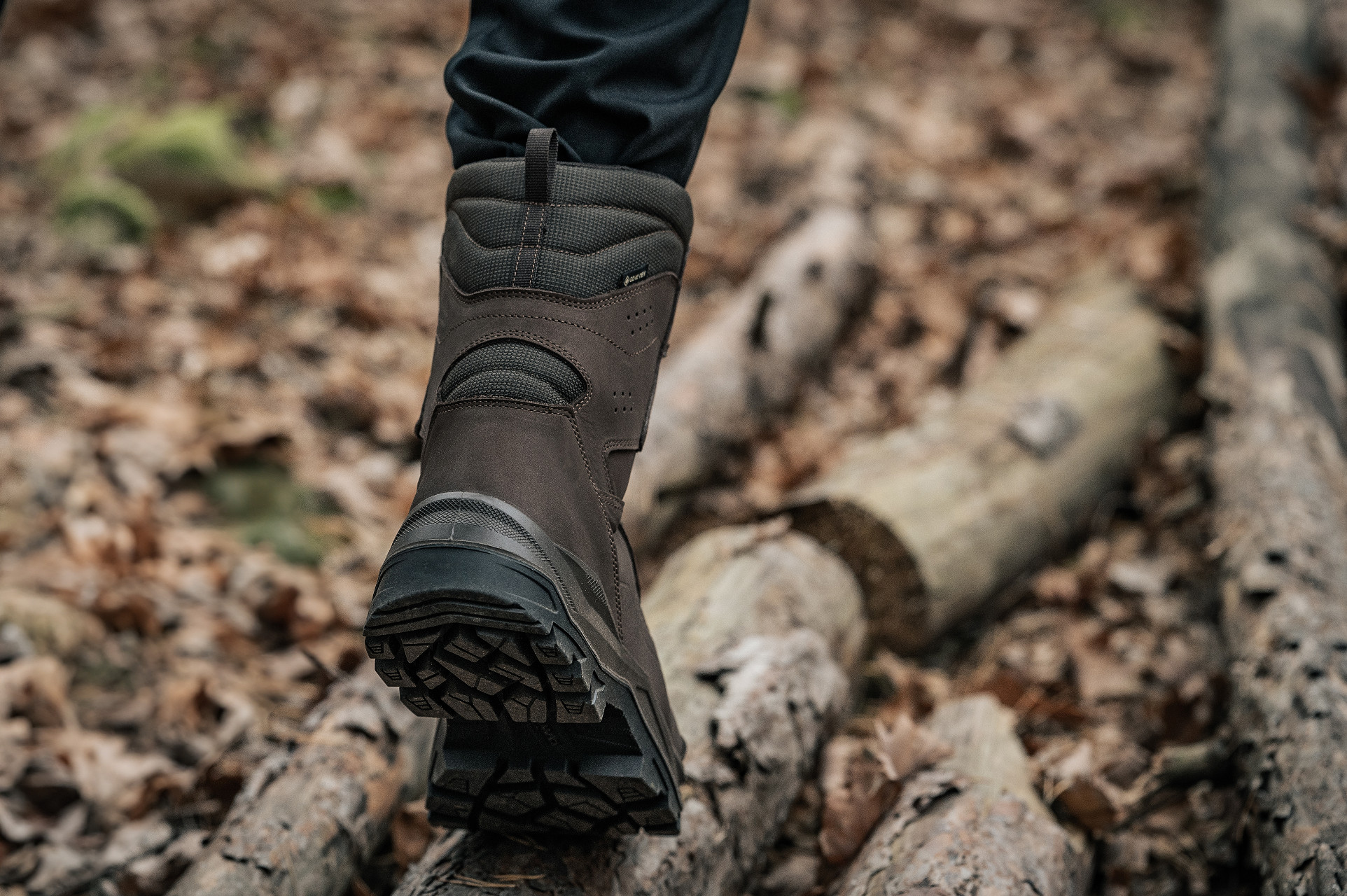 Черевики Lowa Renegade II GTX HI TF - Dark Brown