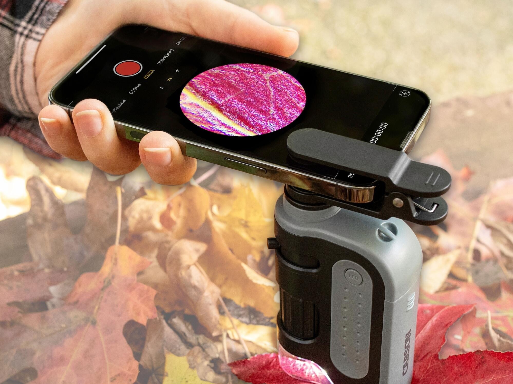 Mikroskop kieszonkowy Carson MicroBrite Plus LED 60-120x z klipsem - Grey