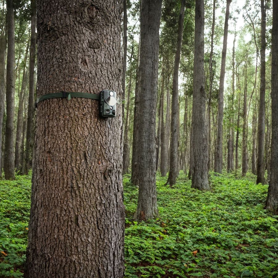 Fotopułapka Midland Wild Guardian Wi-Fi - 24MPX