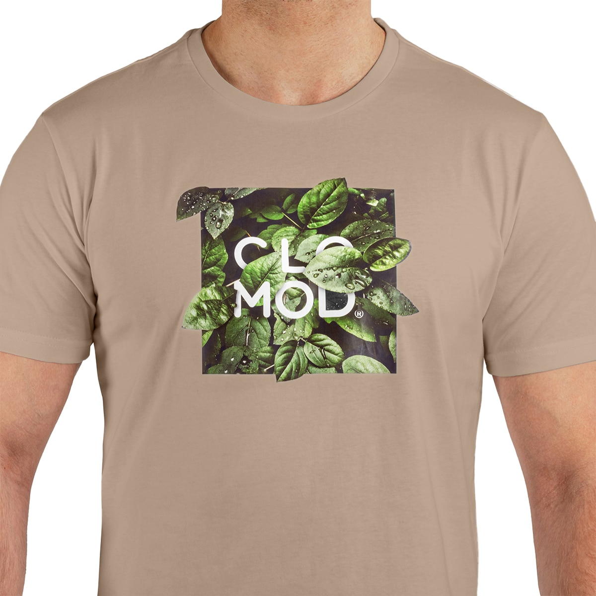Футболка T-shirt Pentagon CloMod Leaves - Coyote