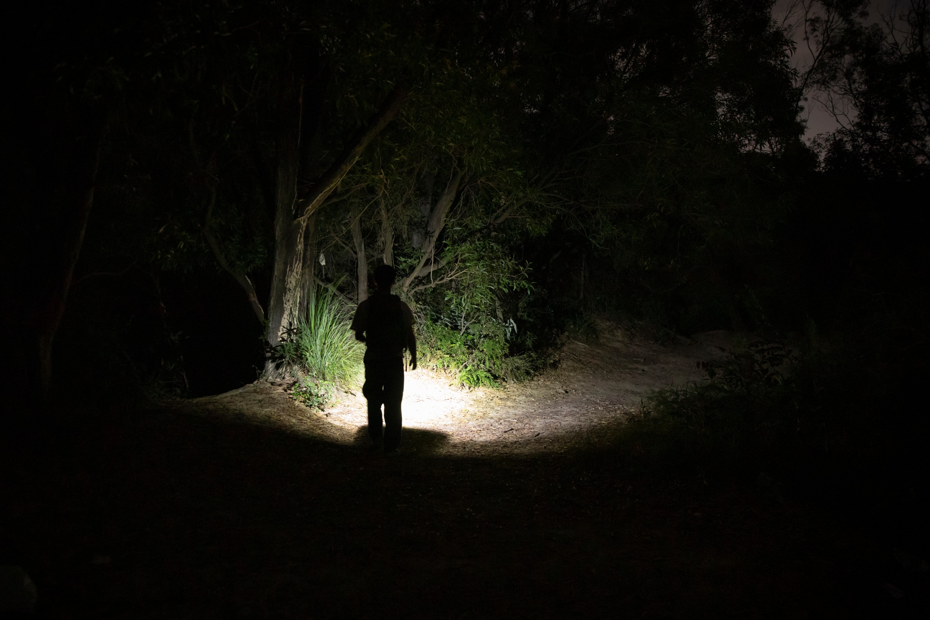 Latarka akumulatorowa Olight Baton 4 Fighter Pilot - 1300 lumenów