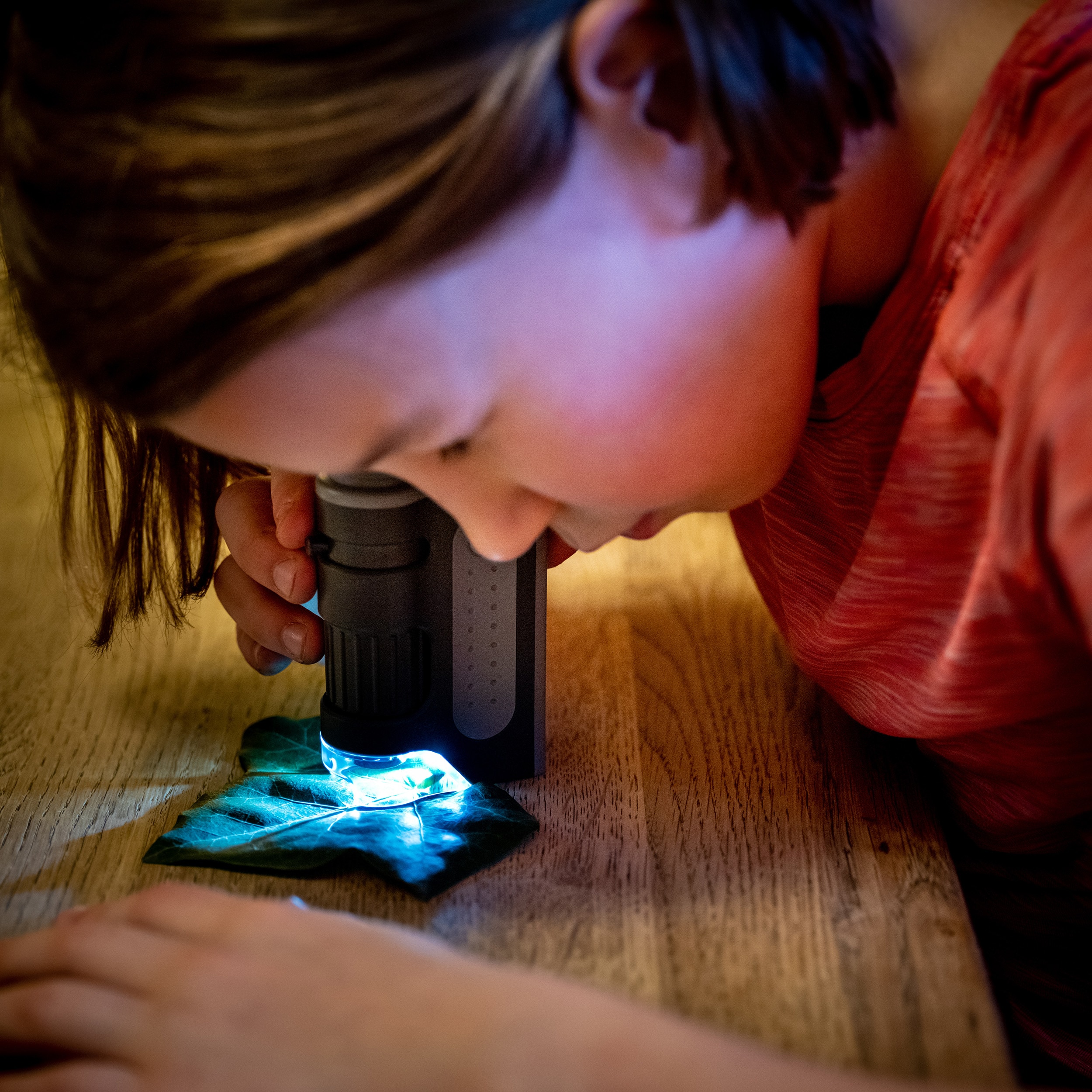 Mikroskop kieszonkowy Carson MicroBrite Plus 60-120x