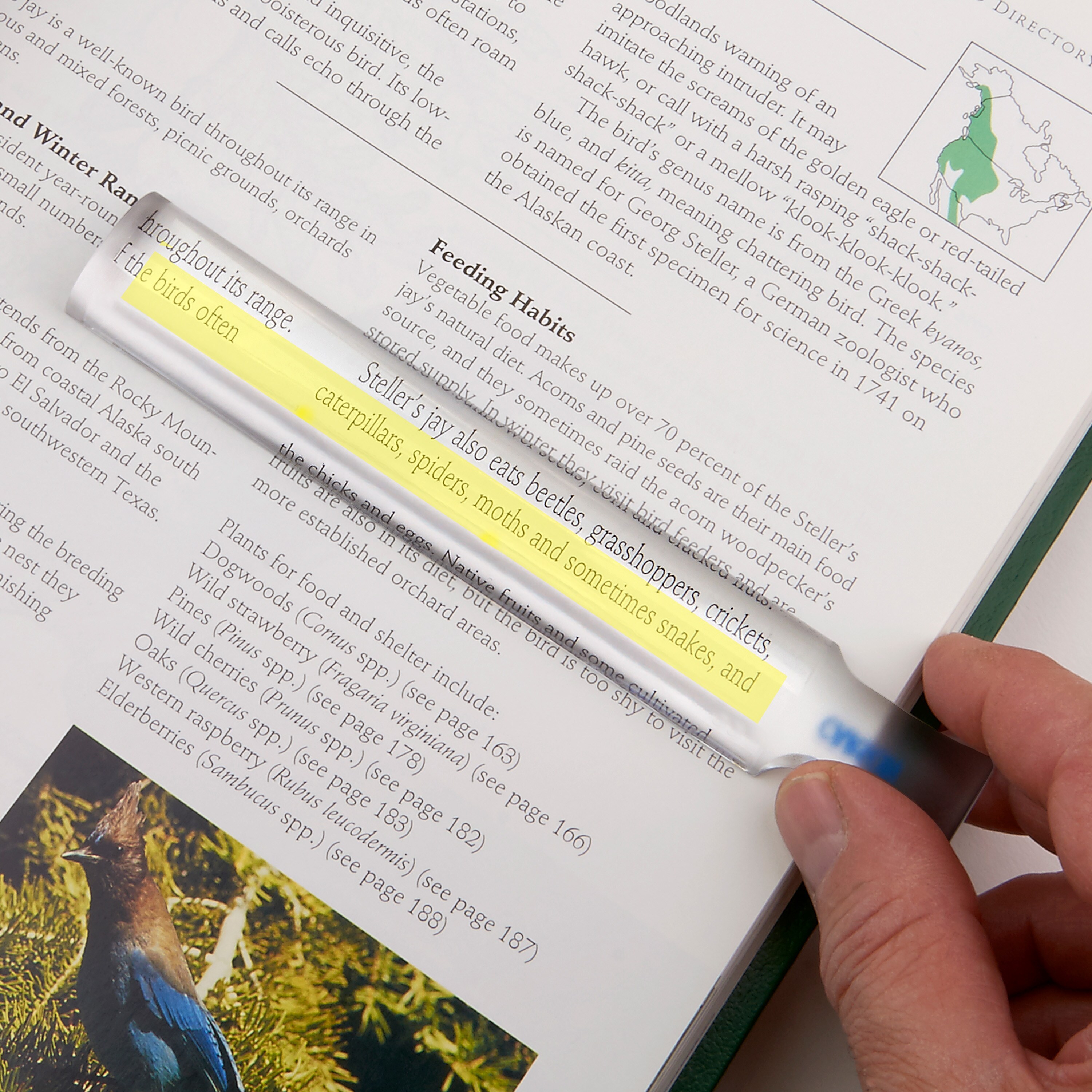 Лупа Carson MagniRead