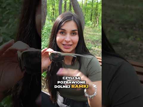 Тактичні окуляри Helikon TrinRay Zestaw Basic - Adaptive Green/Brown