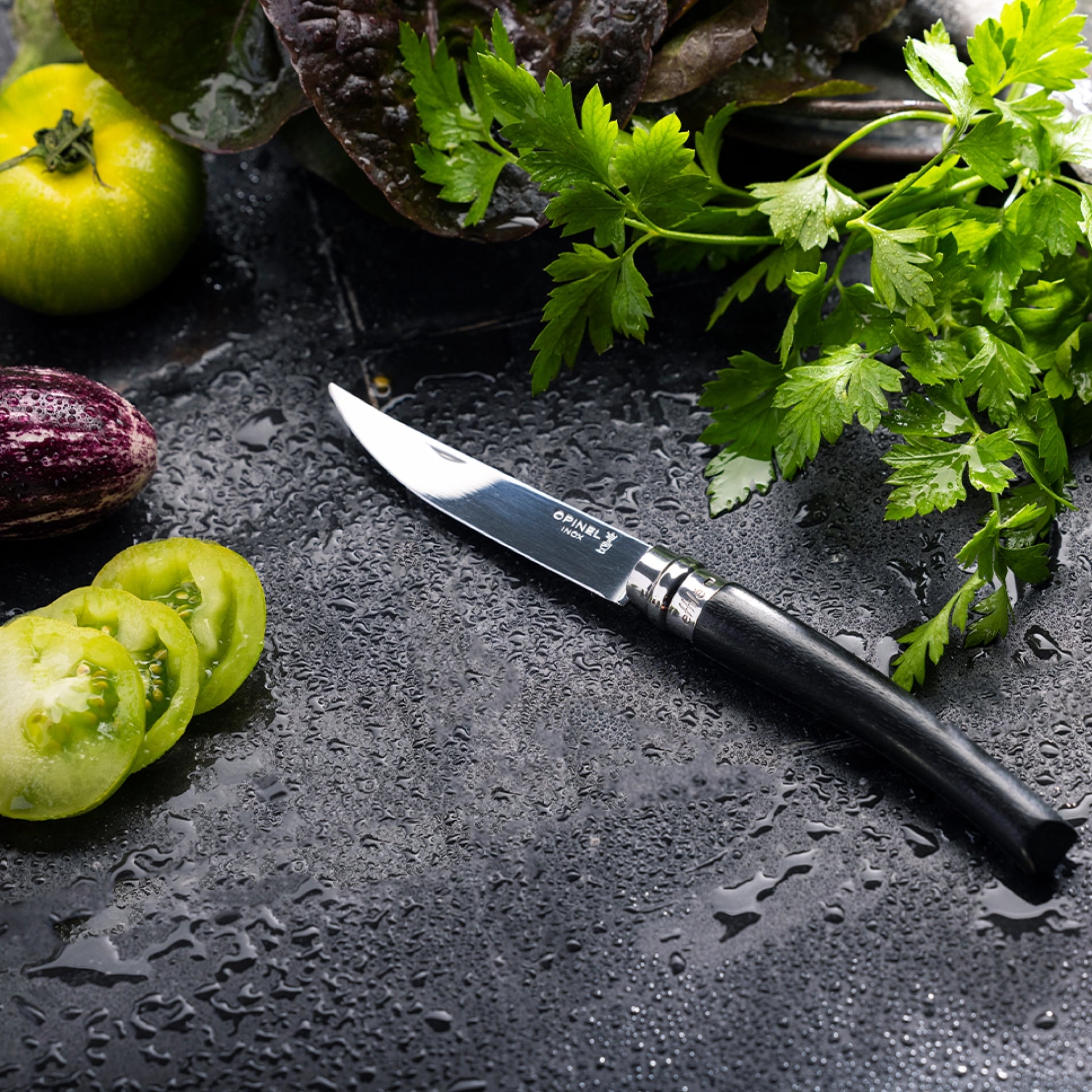 Nóż składany Opinel No.10 Slim Ebony Mirror Blade