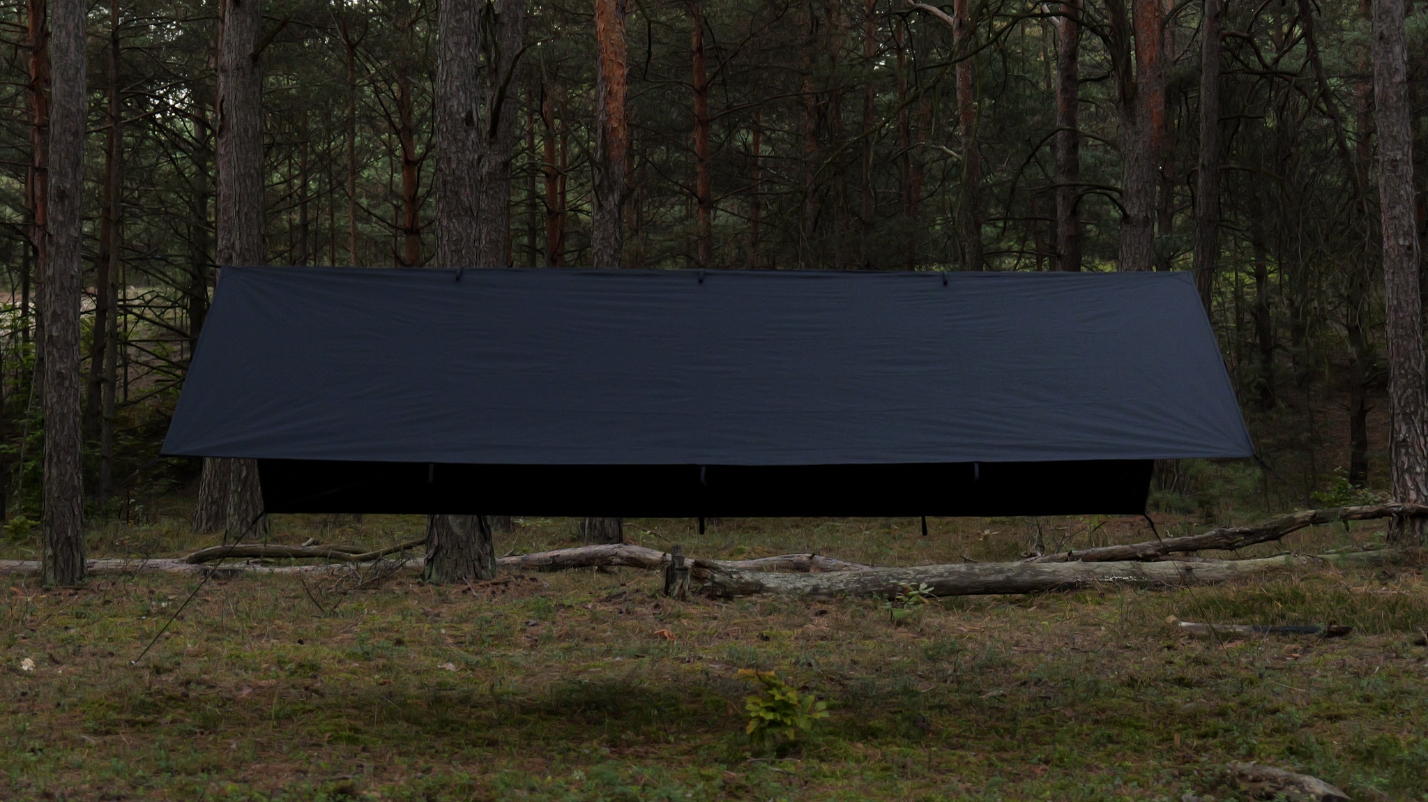 Тент TigerWood Tarp T2 3 x 2 м - Black