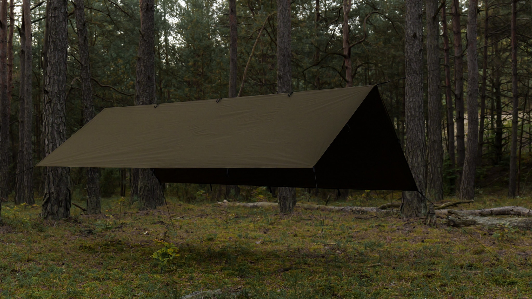 Тент TigerWood Tarp T2 3 x 2 м - Khaki