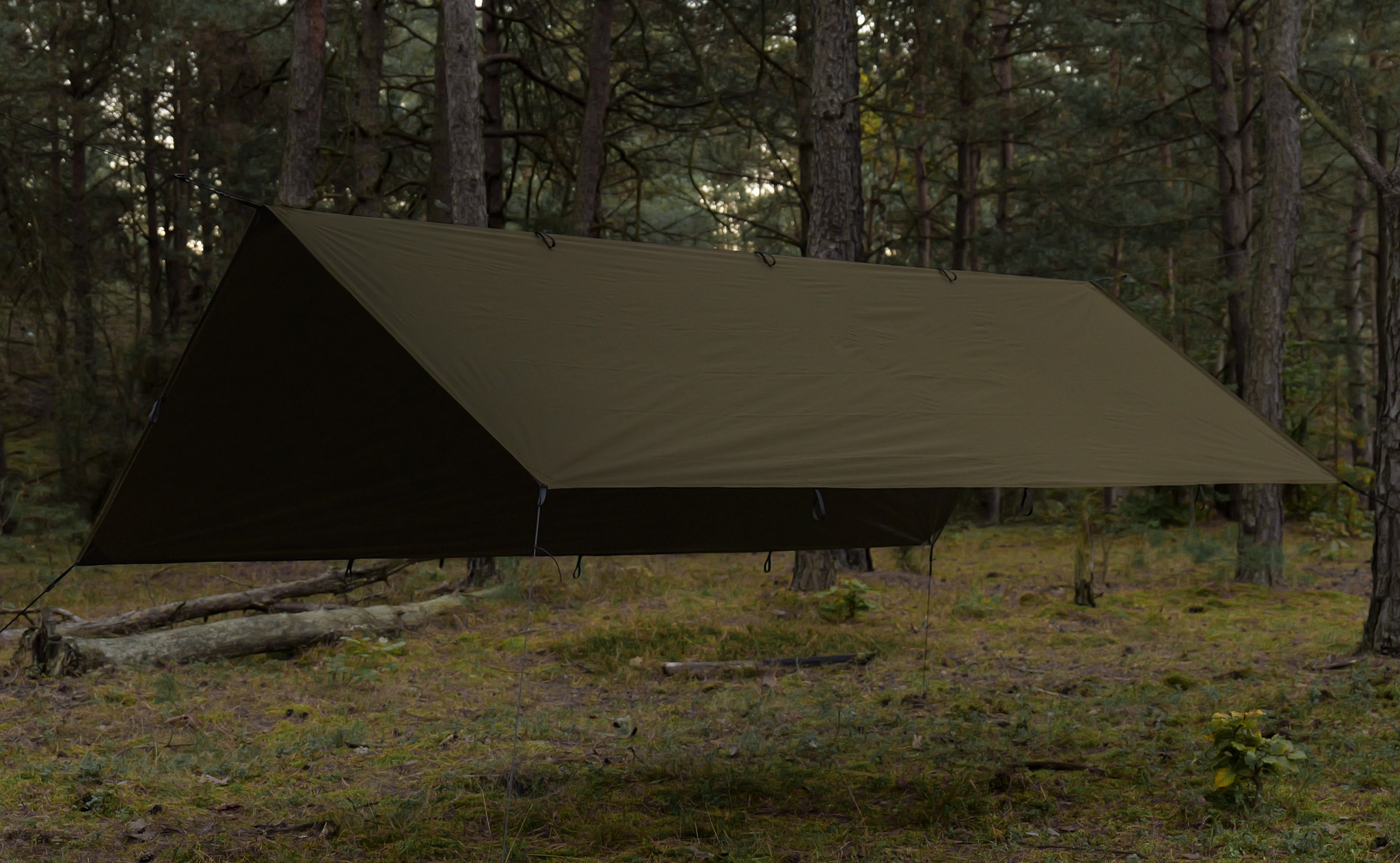 Тент TigerWood Tarp T2 3 x 2 м - Khaki