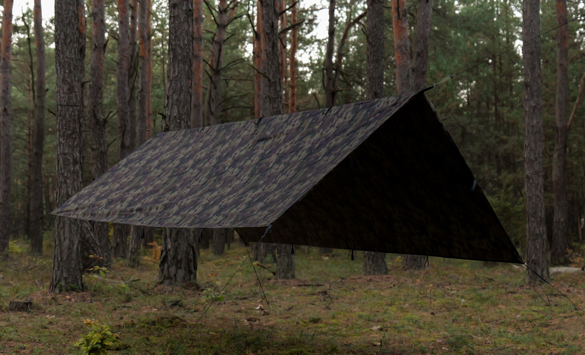 Płachta biwakowa TigerWood Tarp T2 3 x 2 m - Camo