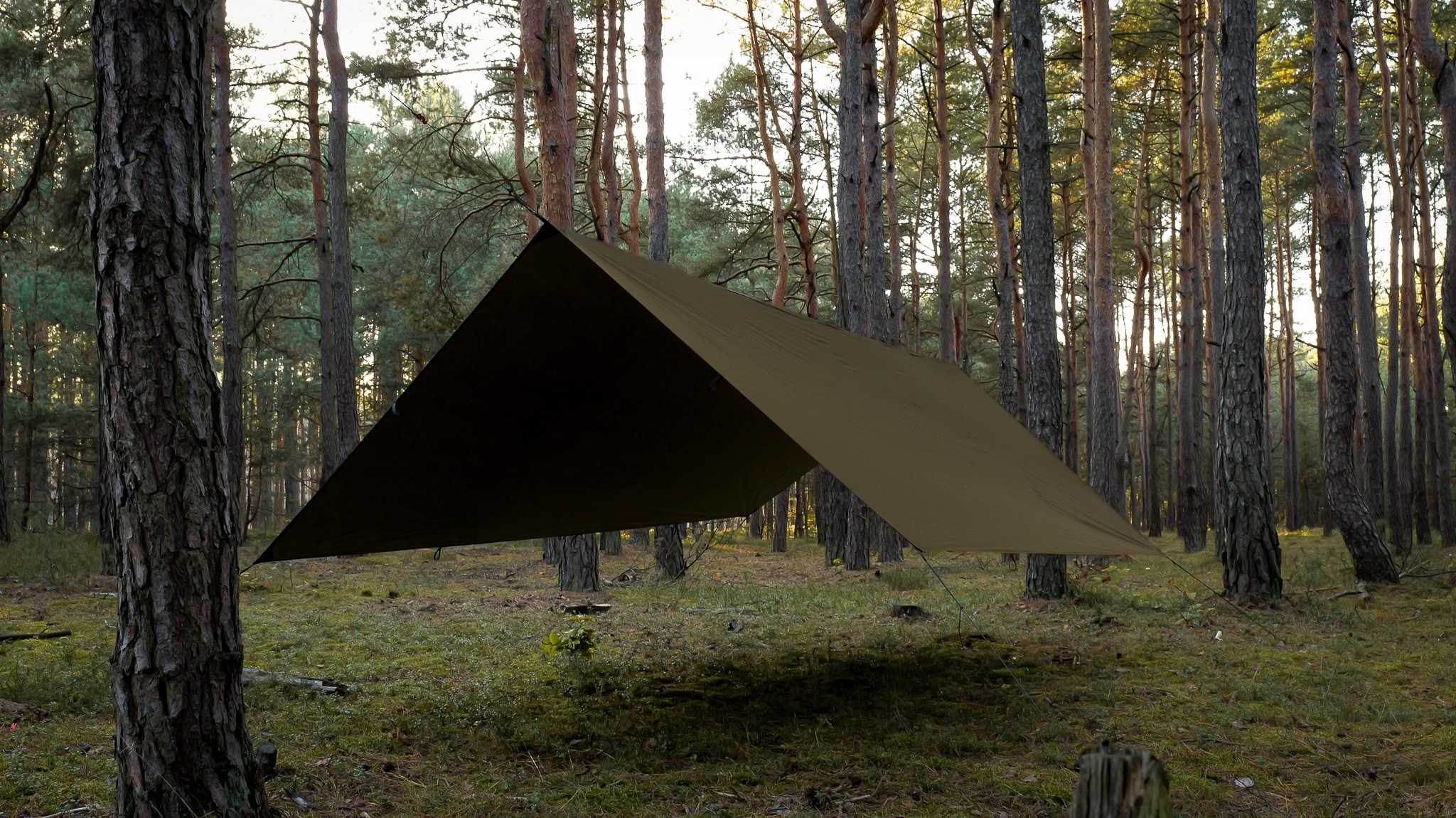 Тент TigerWood Tarp T2 3 x 3 м - Khaki