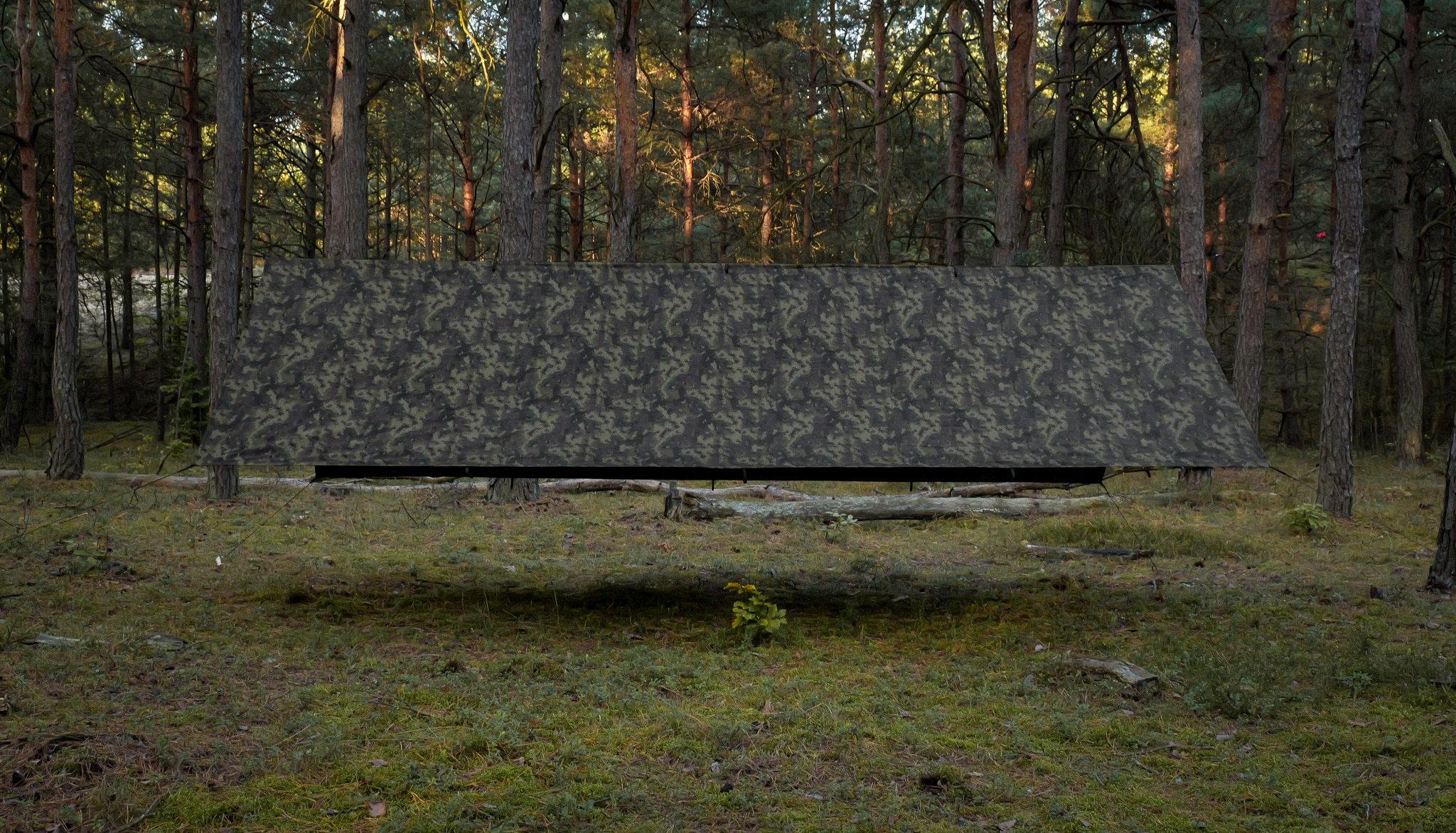 Płachta biwakowa TigerWood Tarp T2 3 x 4 m - Camo