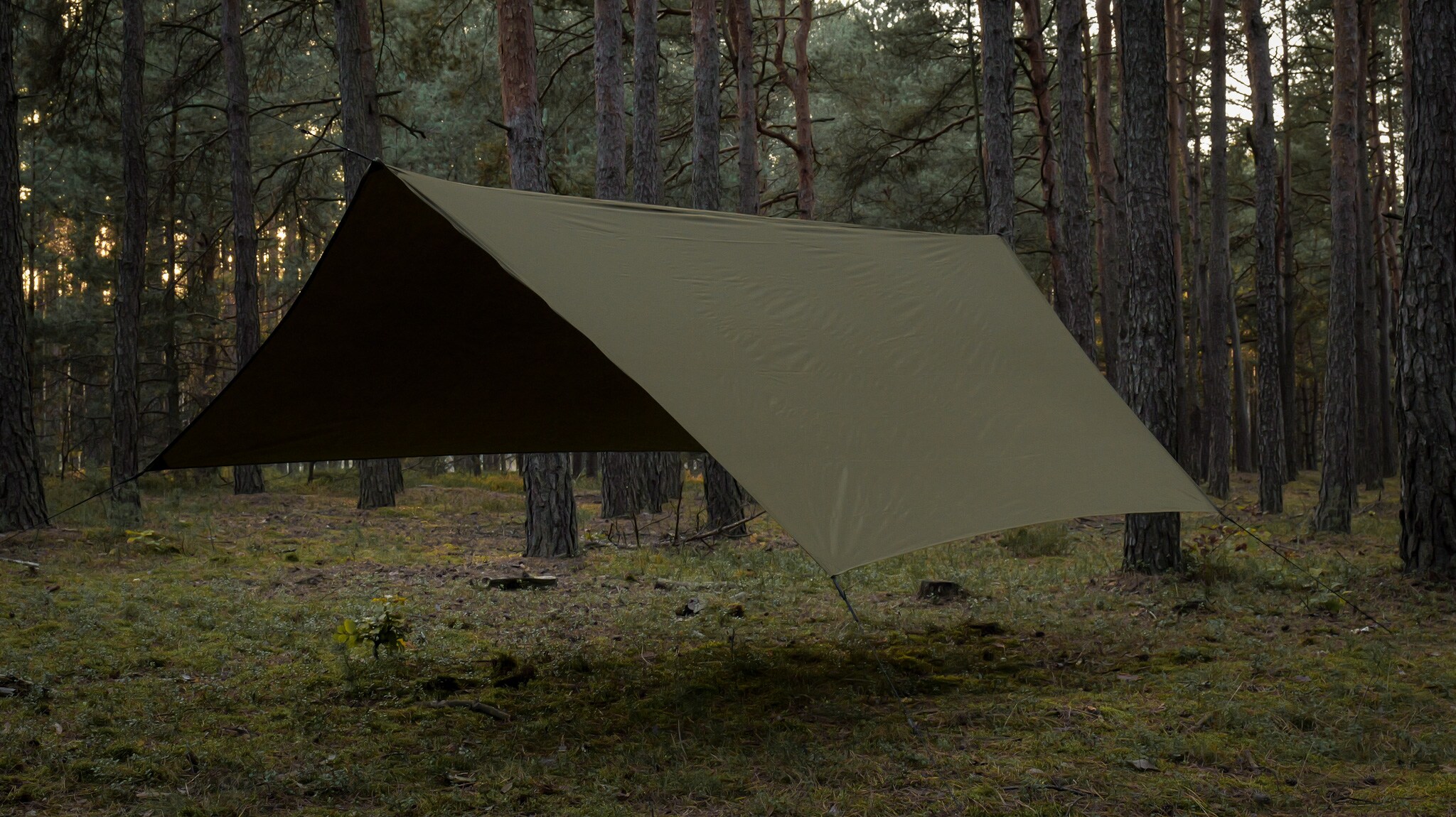 Płachta biwakowa TigerWood Termo Tarp T2 StingRay 3,6 x 2,8 m - Khaki