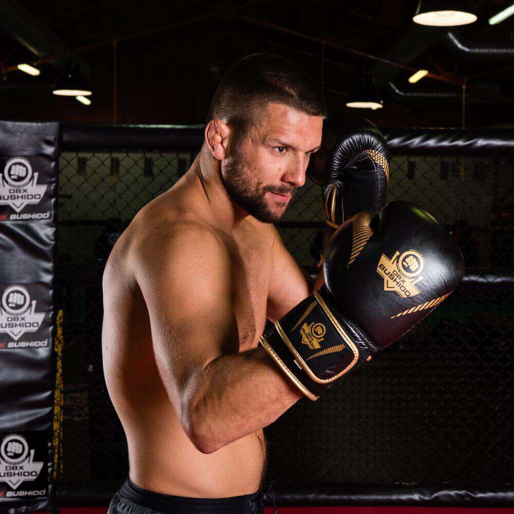 Боксерські рукавиці DBX Bushido B-2V13 - Чорно-золоті