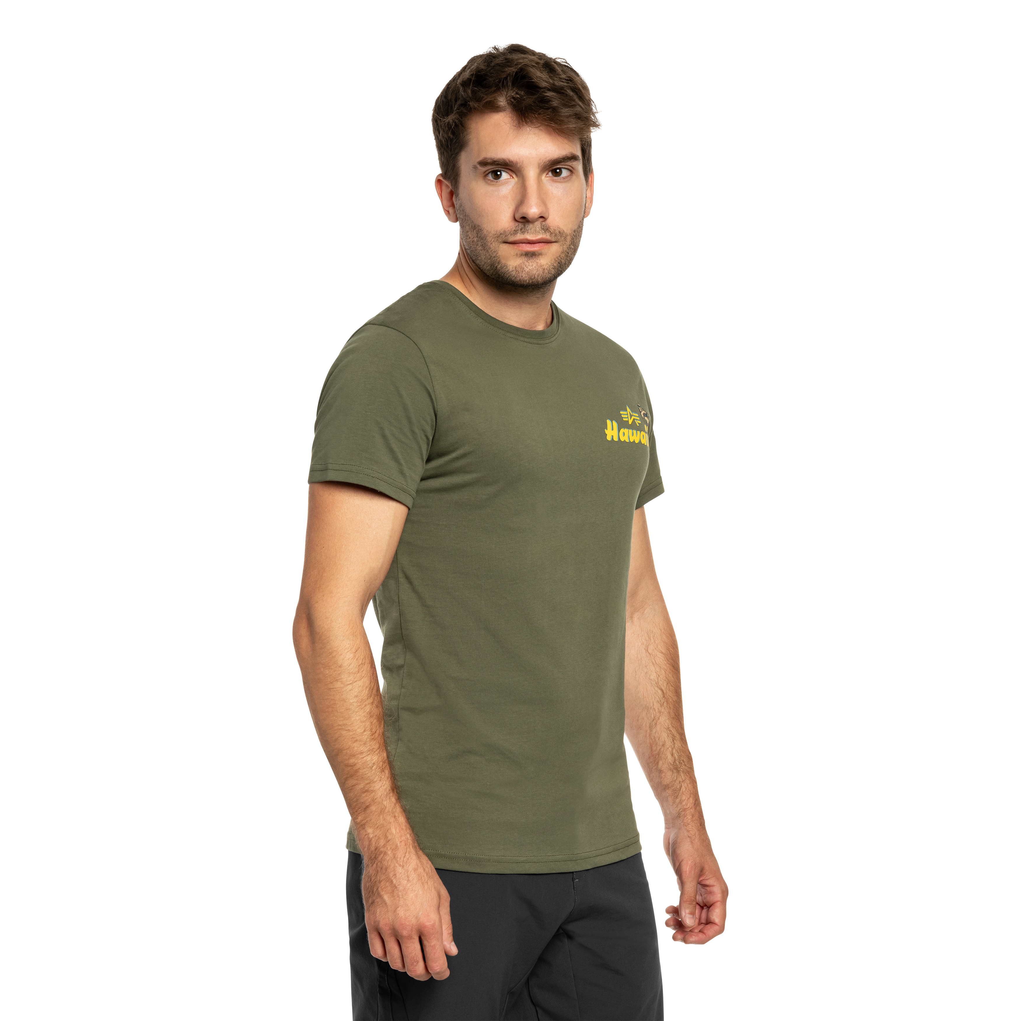 Футболка T-Shirt Alpha Industries Pearl Harbor Back Print - Dark Olive