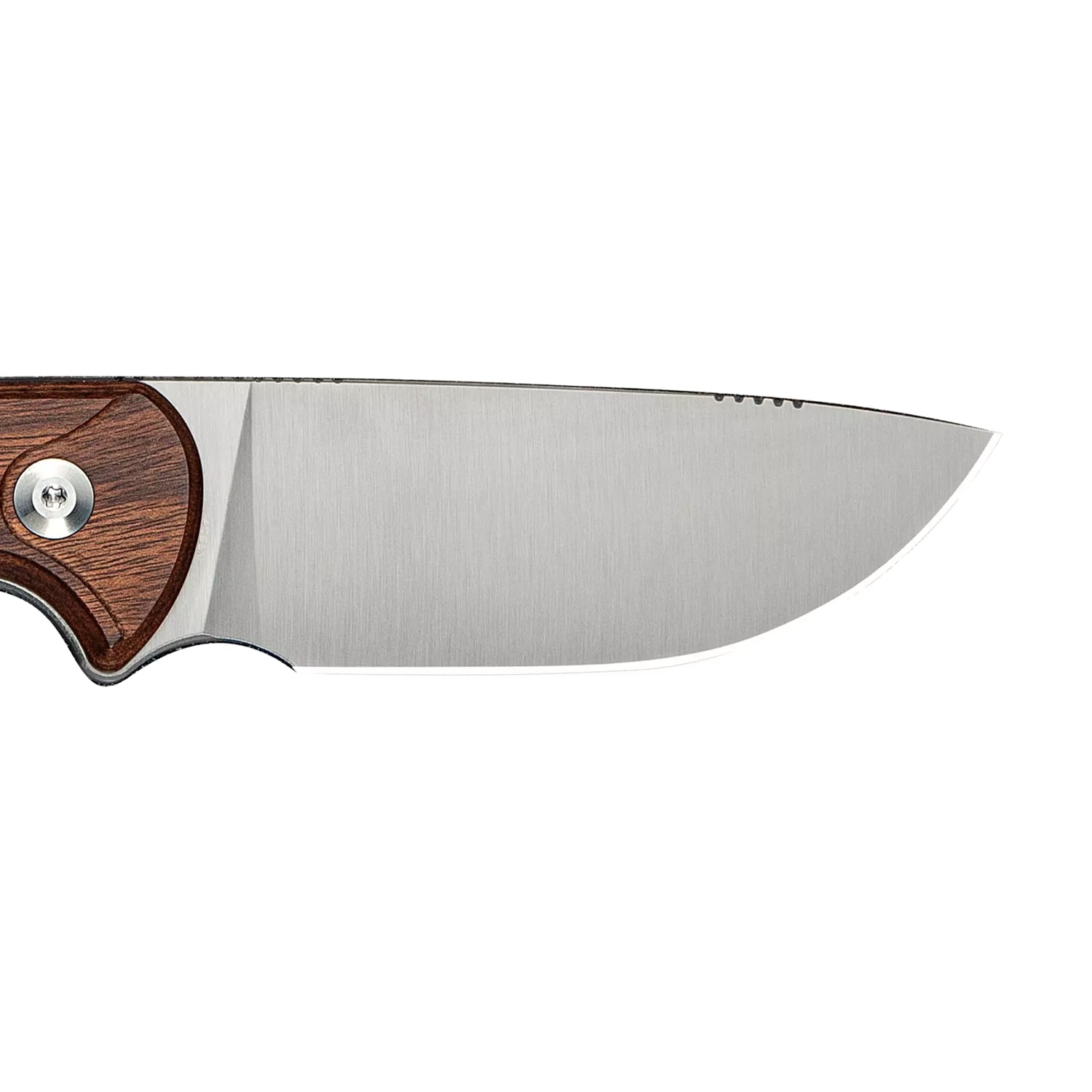 Nóż Civivi Timberbark Guibourtia Wood - Satin