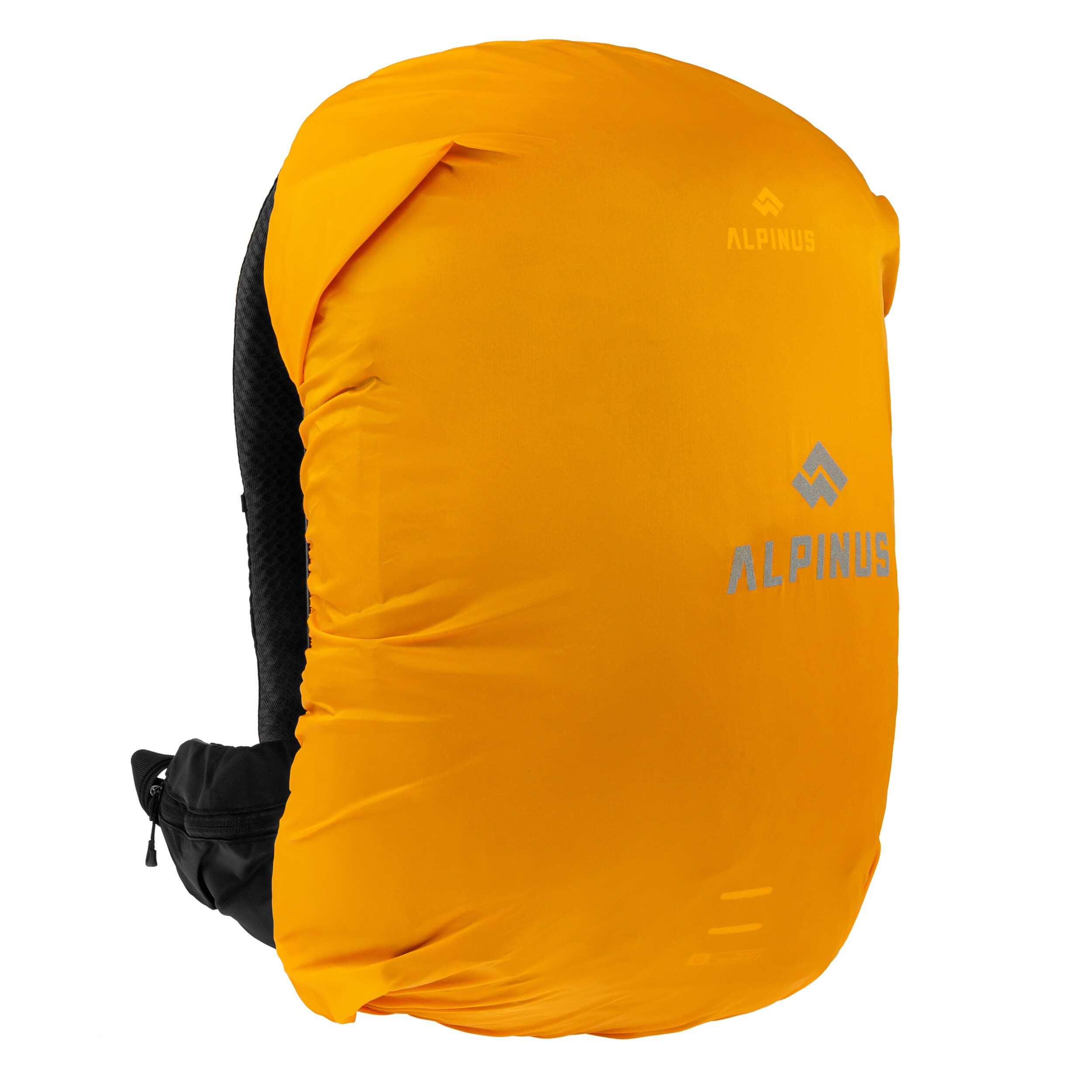 Рюкзак Alpinus Ornak 30 л - Black